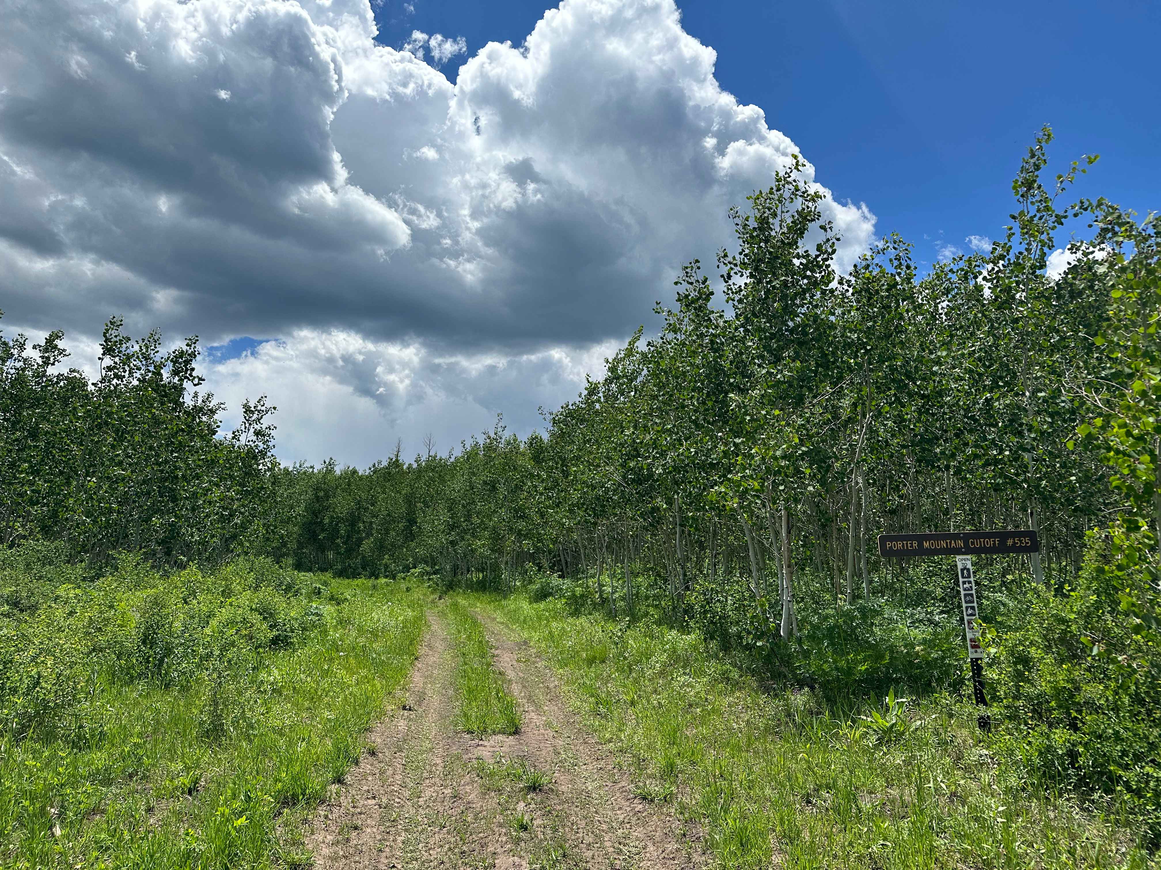 Porter Cutoff - FS 535