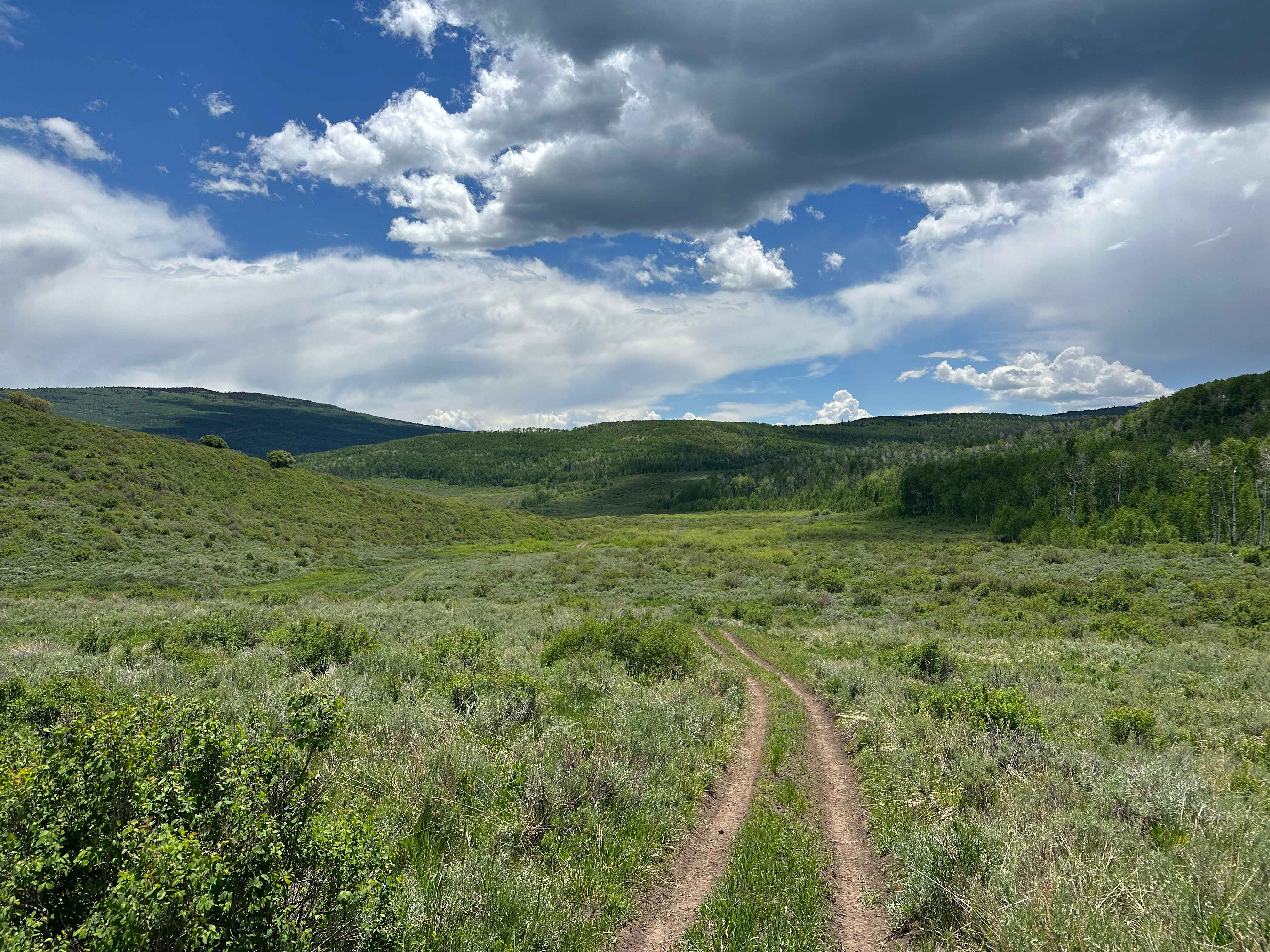 Porter Cutoff - FS 535