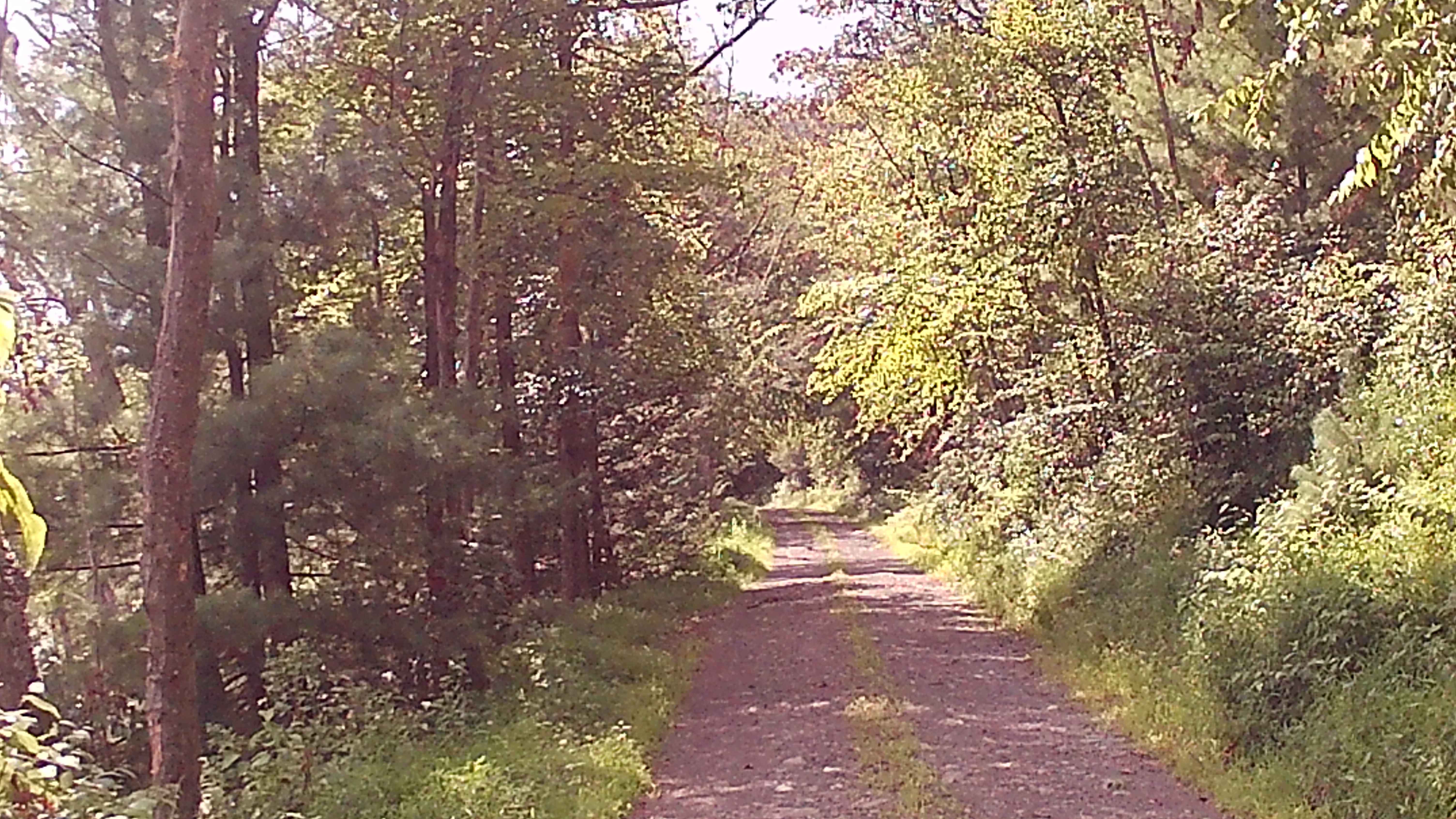 Old Mingle road