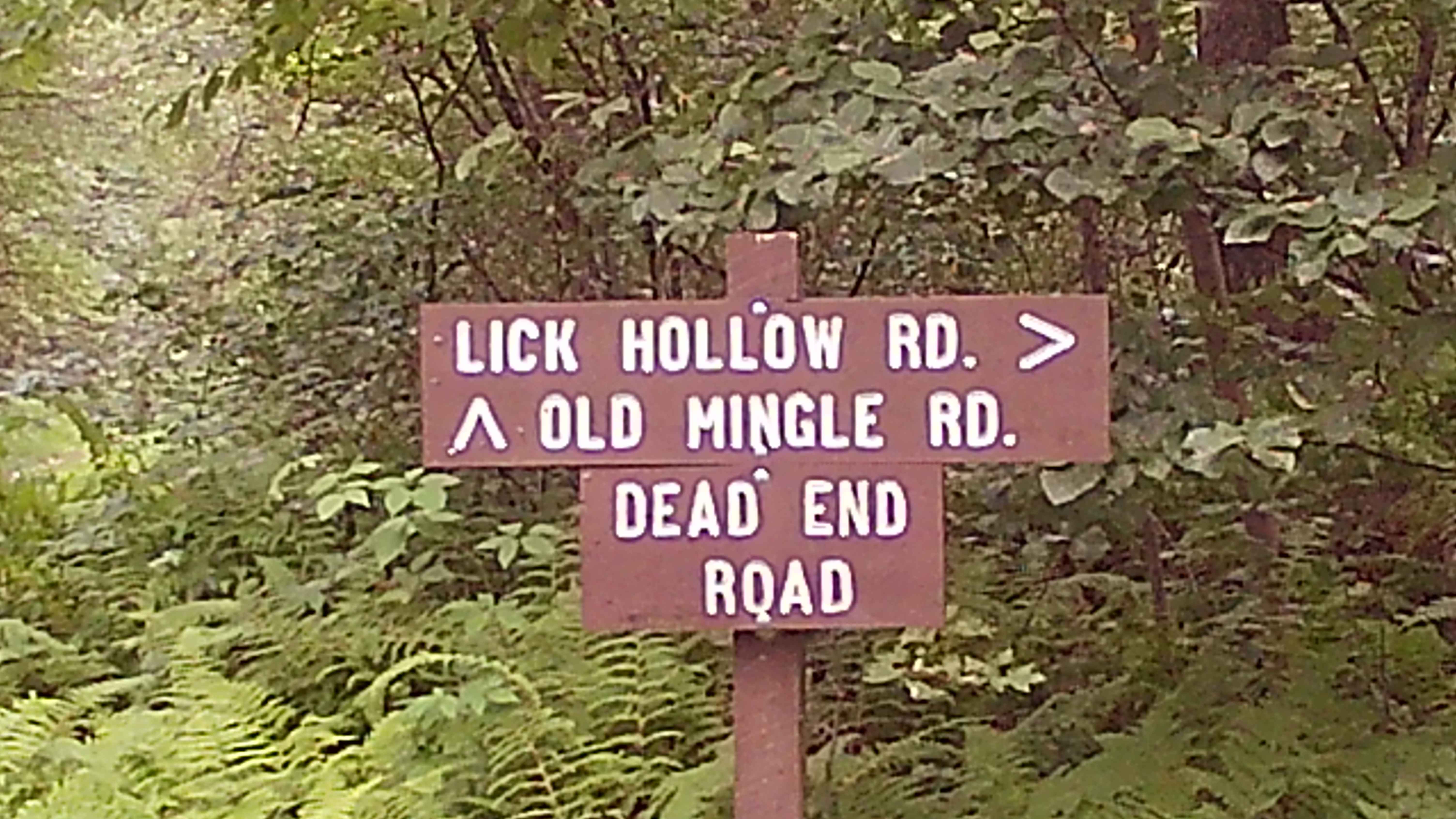 Lick Hollow Road