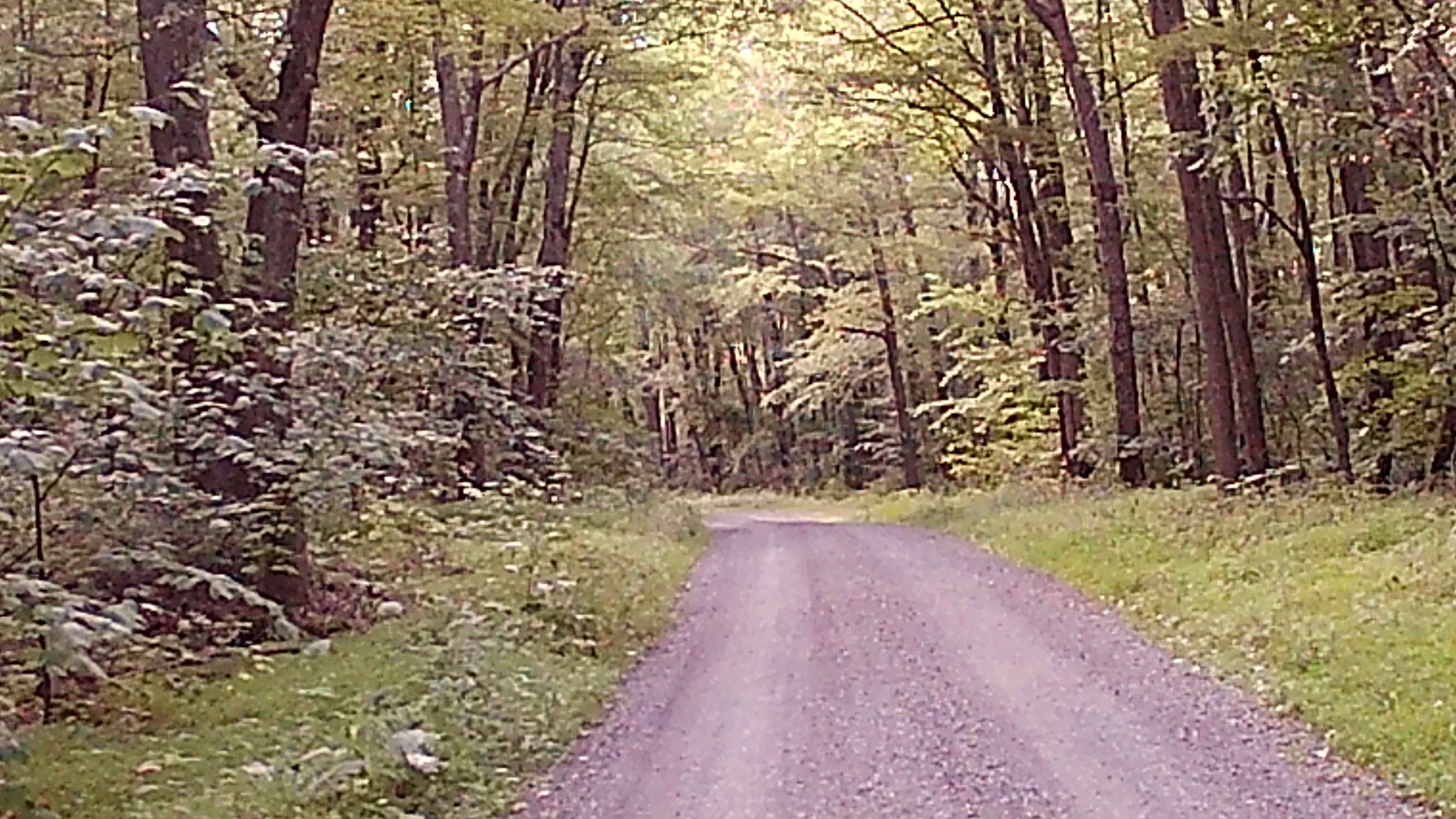 Woodward Gap Road