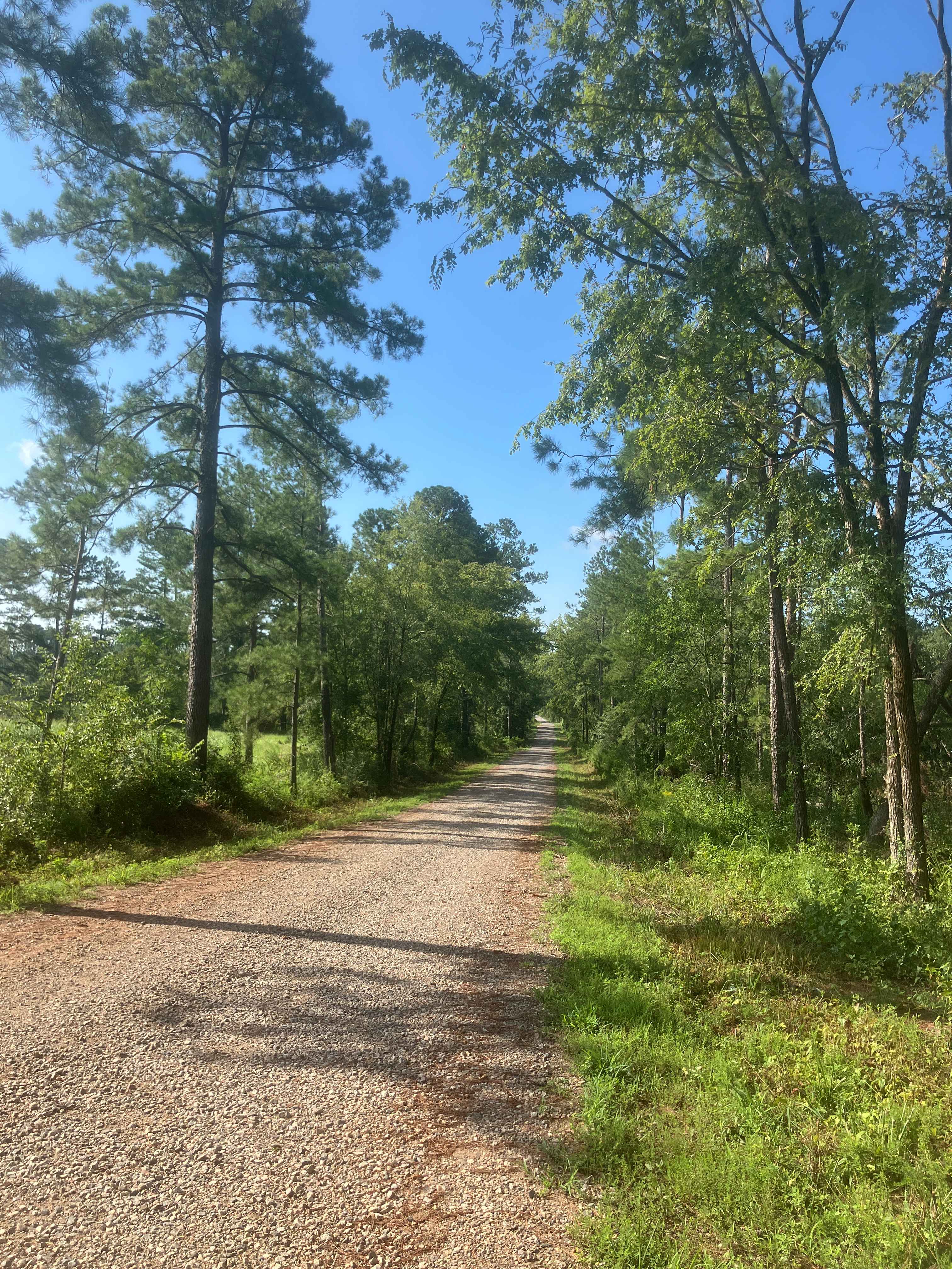 Fury's Ferry Boat Ramp