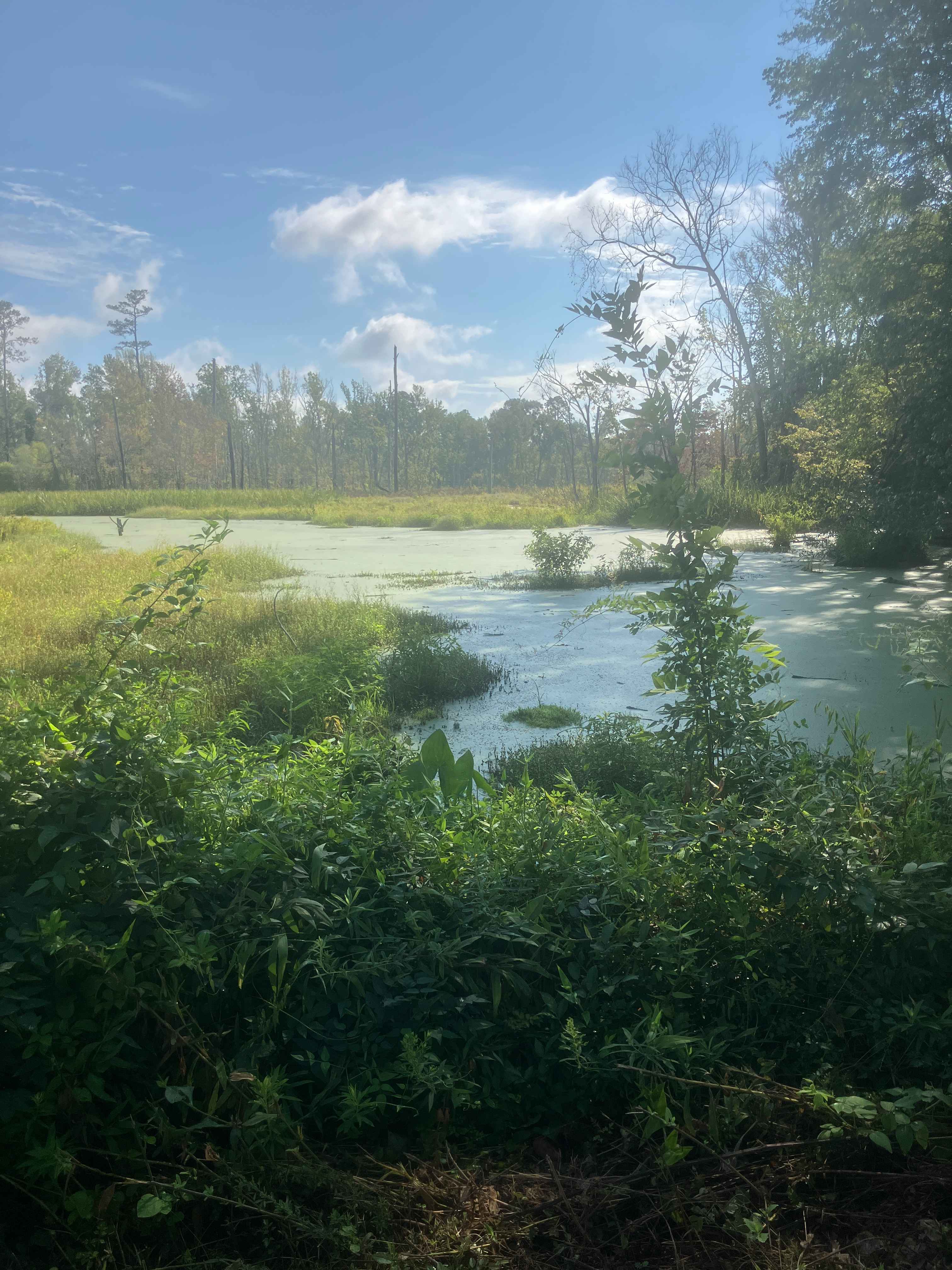 Fury's Ferry Boat Ramp