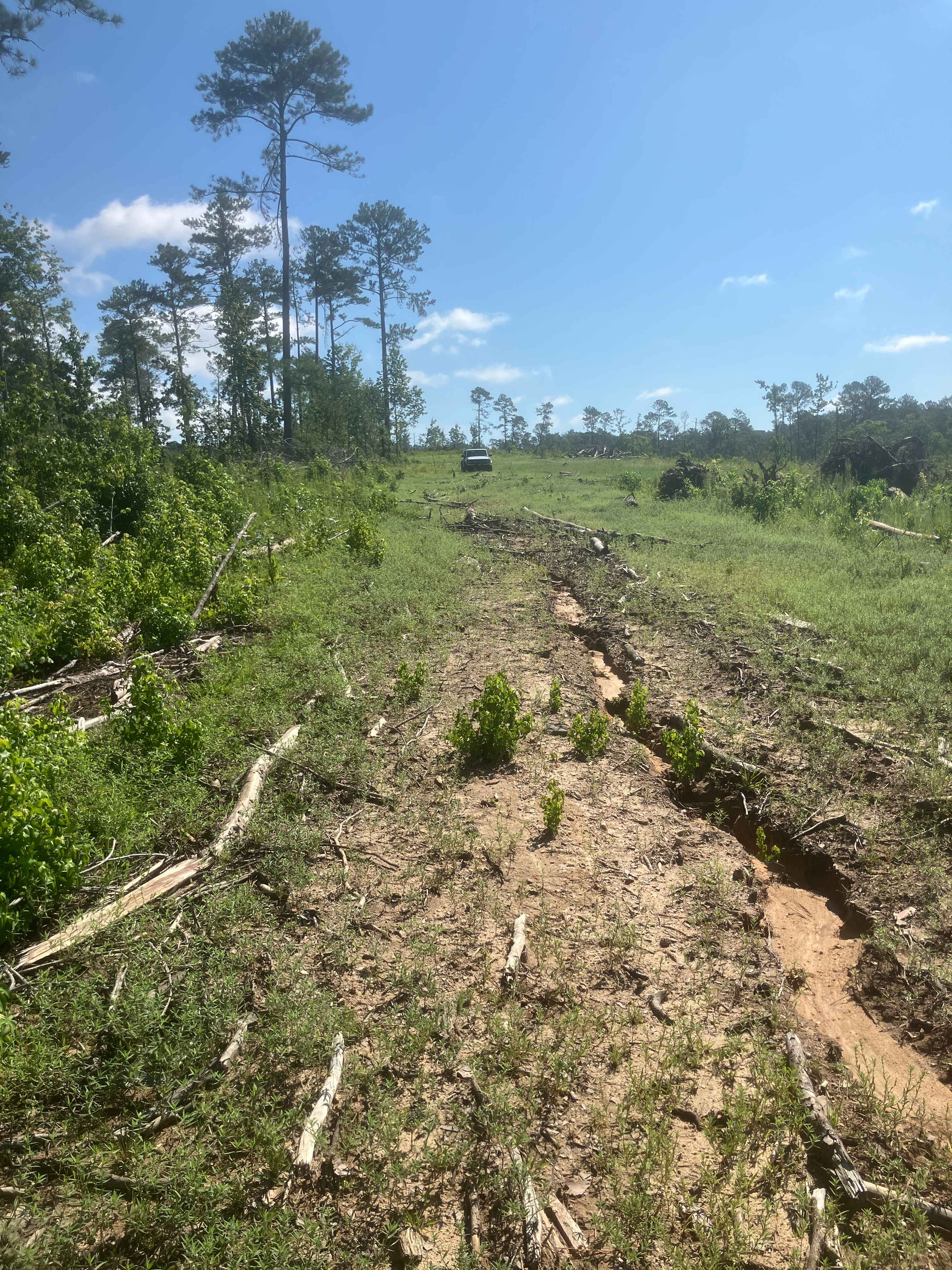 Mason Wildlife Trail North