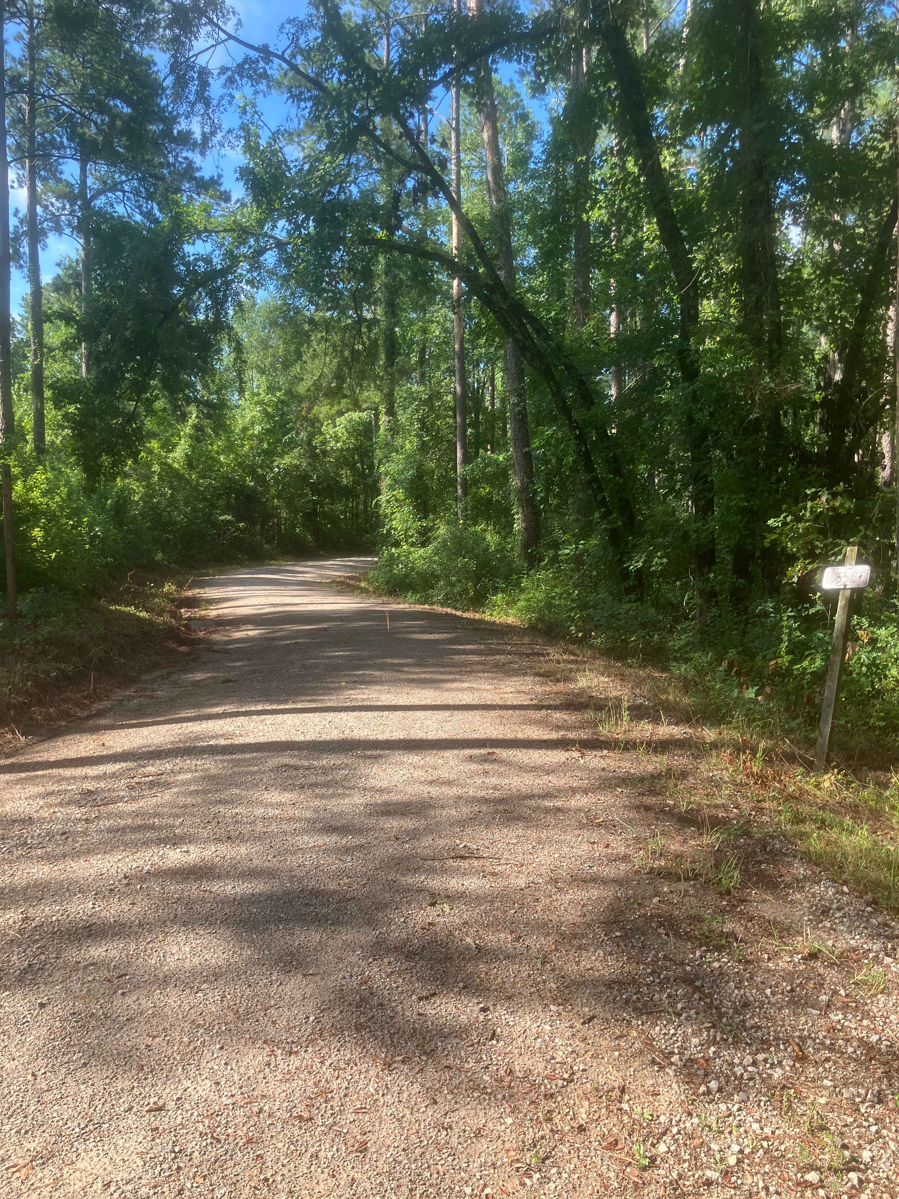 Mason Wildlife Trail North