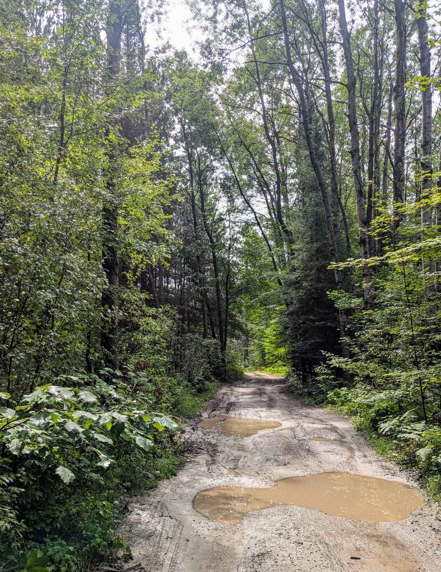 Mason Chapel - NFS 4209