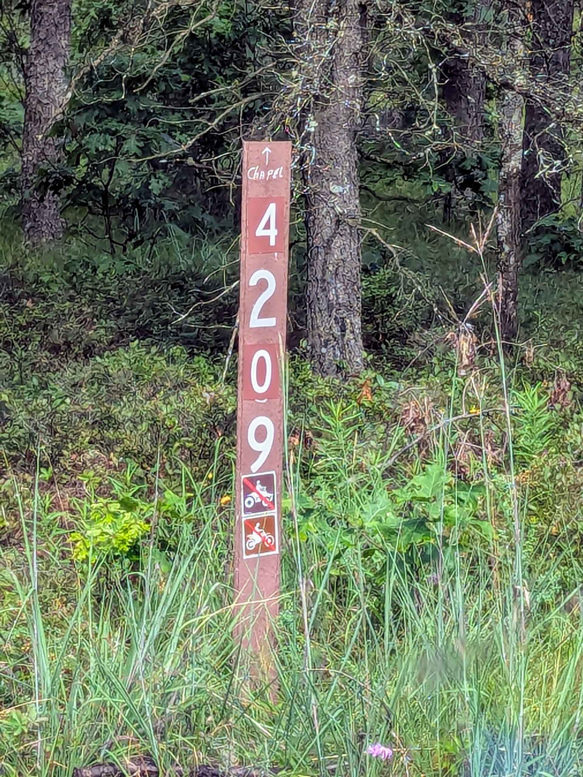 Mason Chapel - NFS 4209