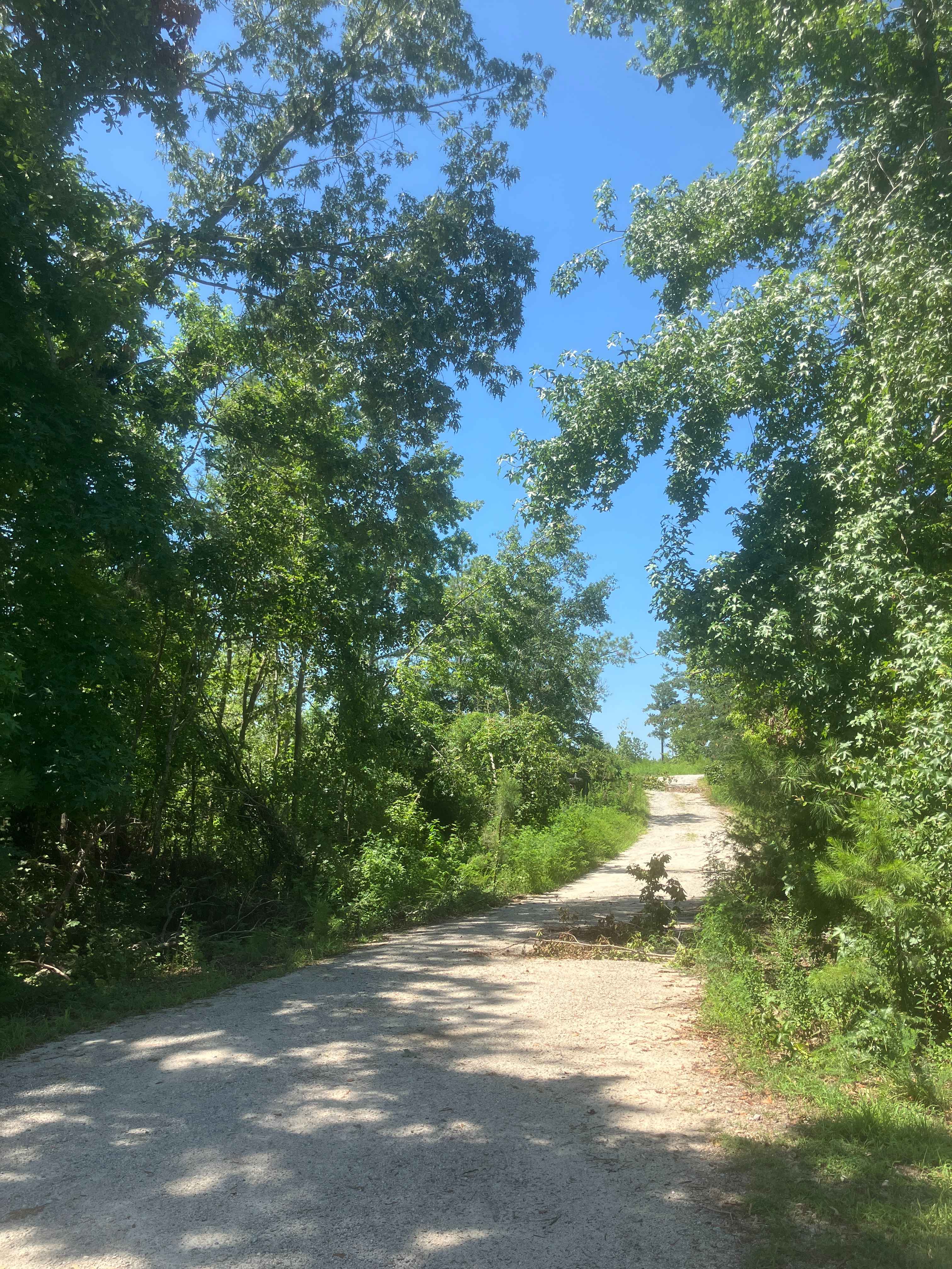 Mason Wildlife Trail South