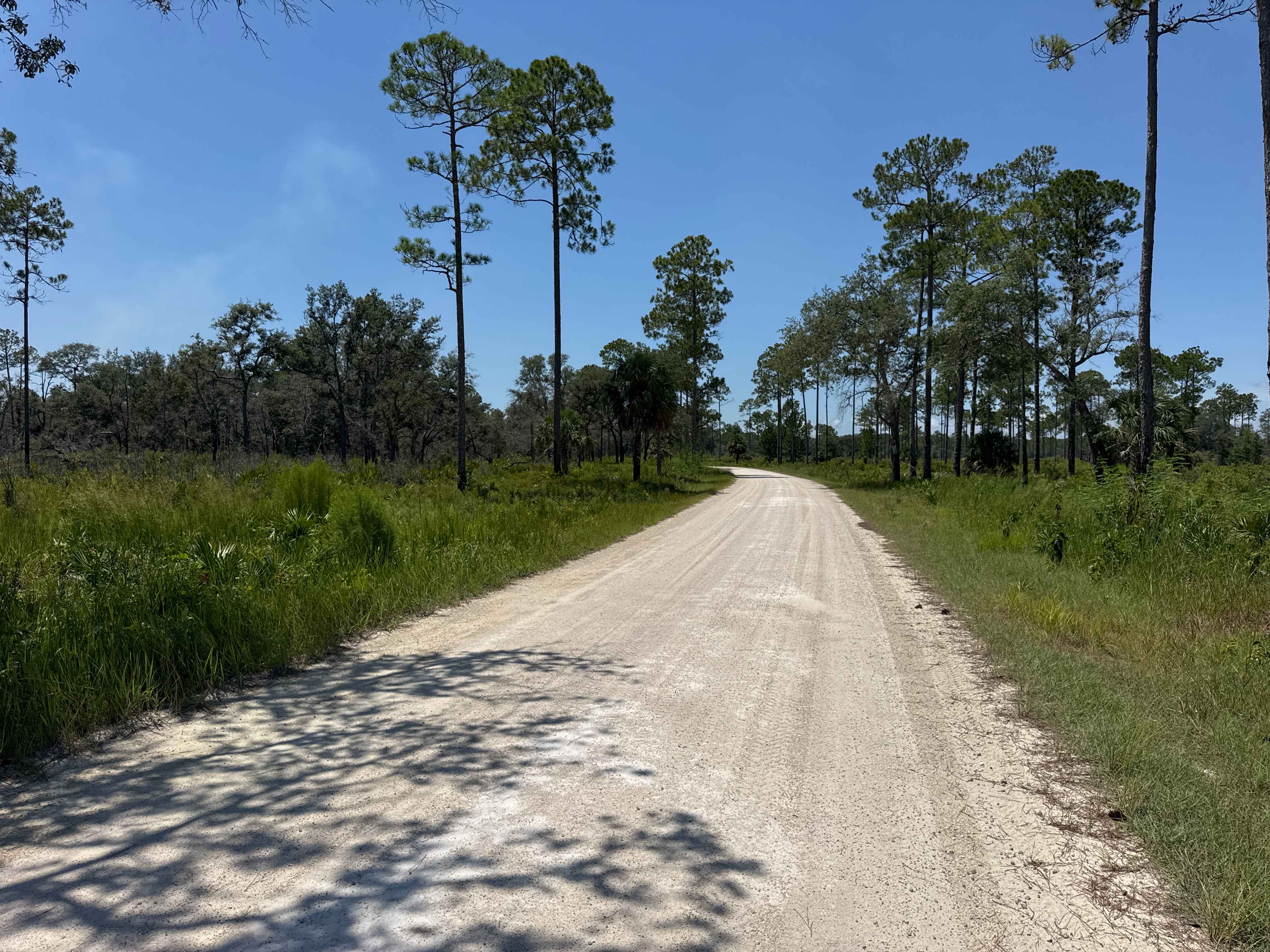Rattlesnake Camp Road
