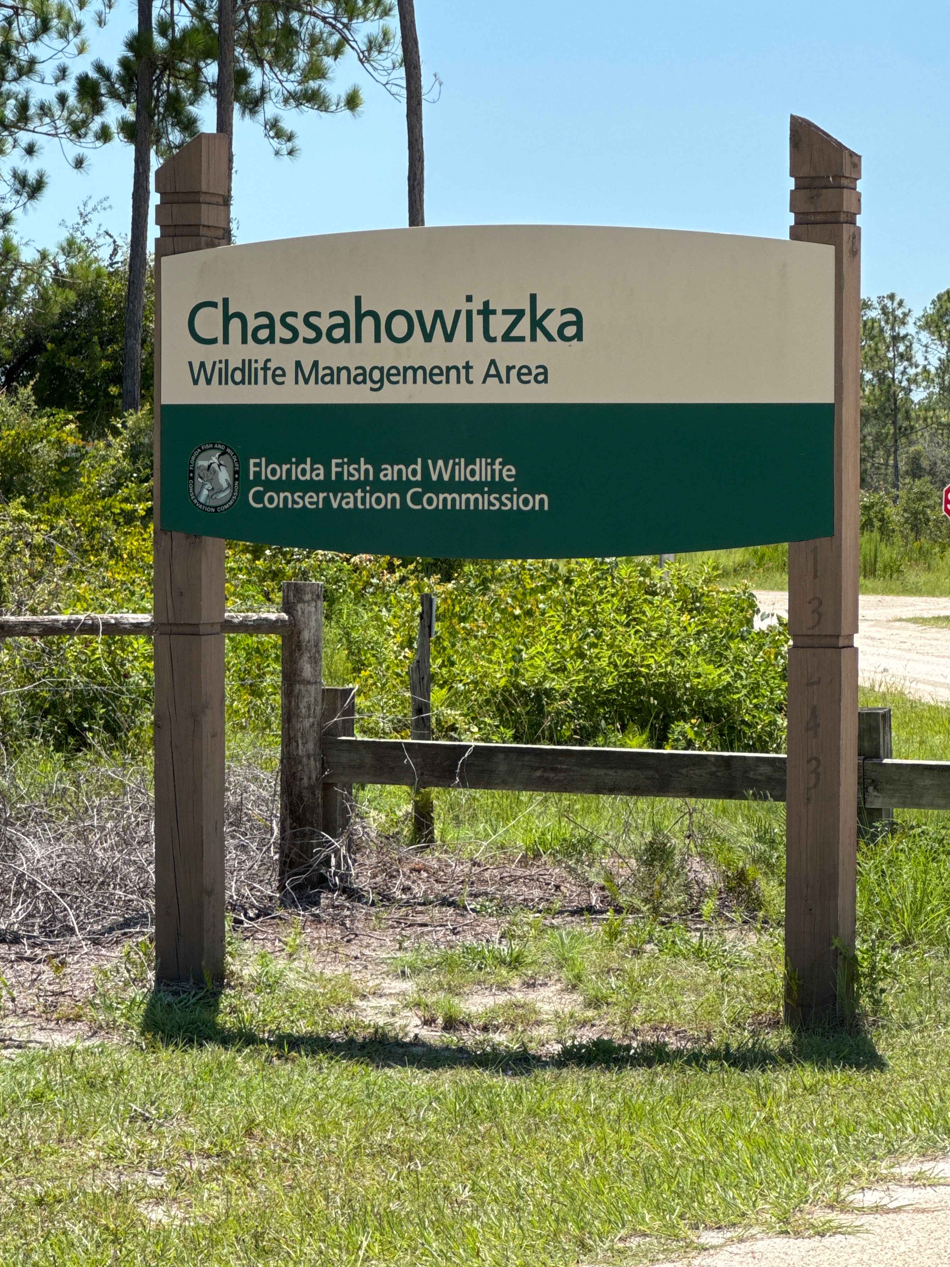 Rattlesnake Camp Road