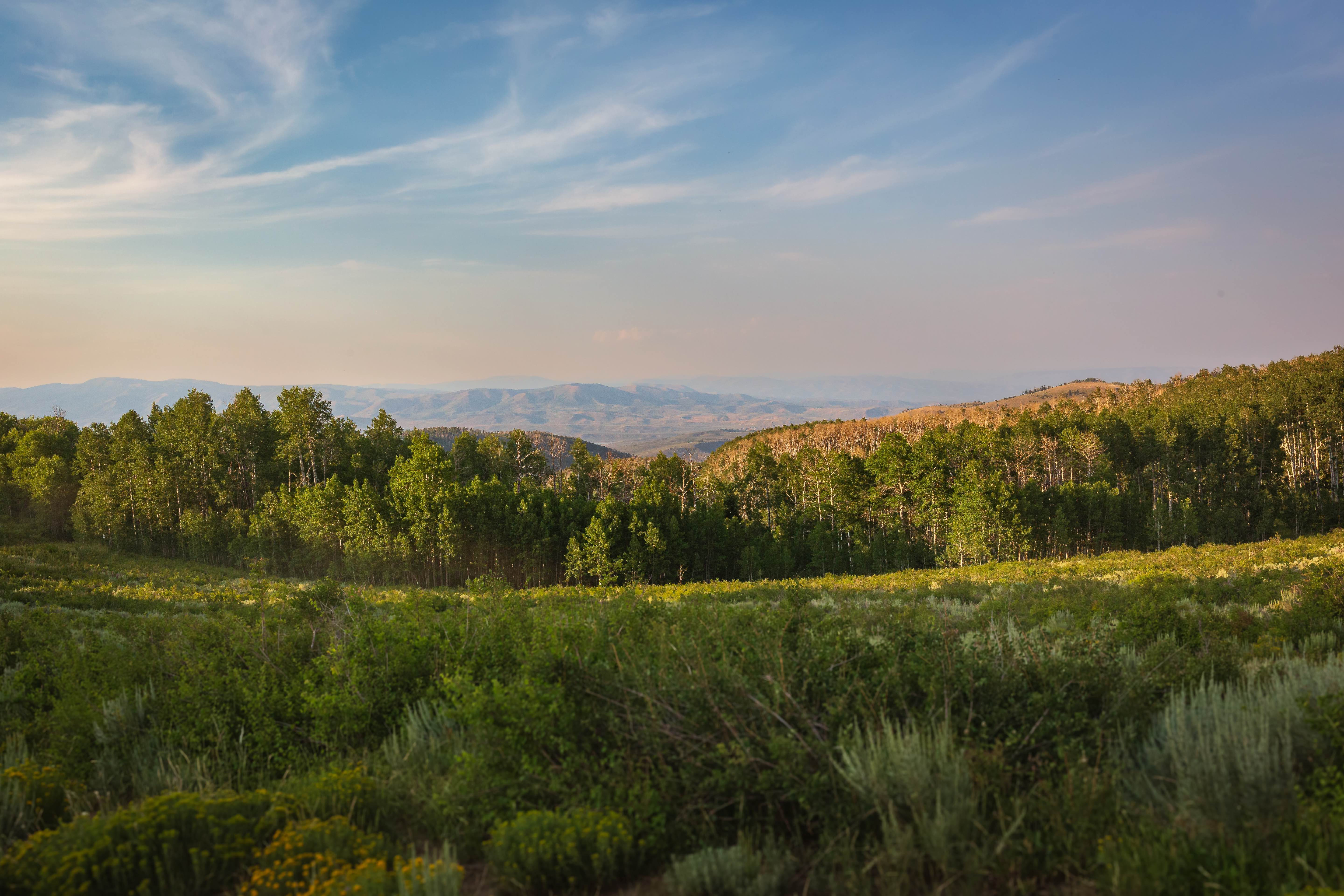 Big Springs - FS 70109