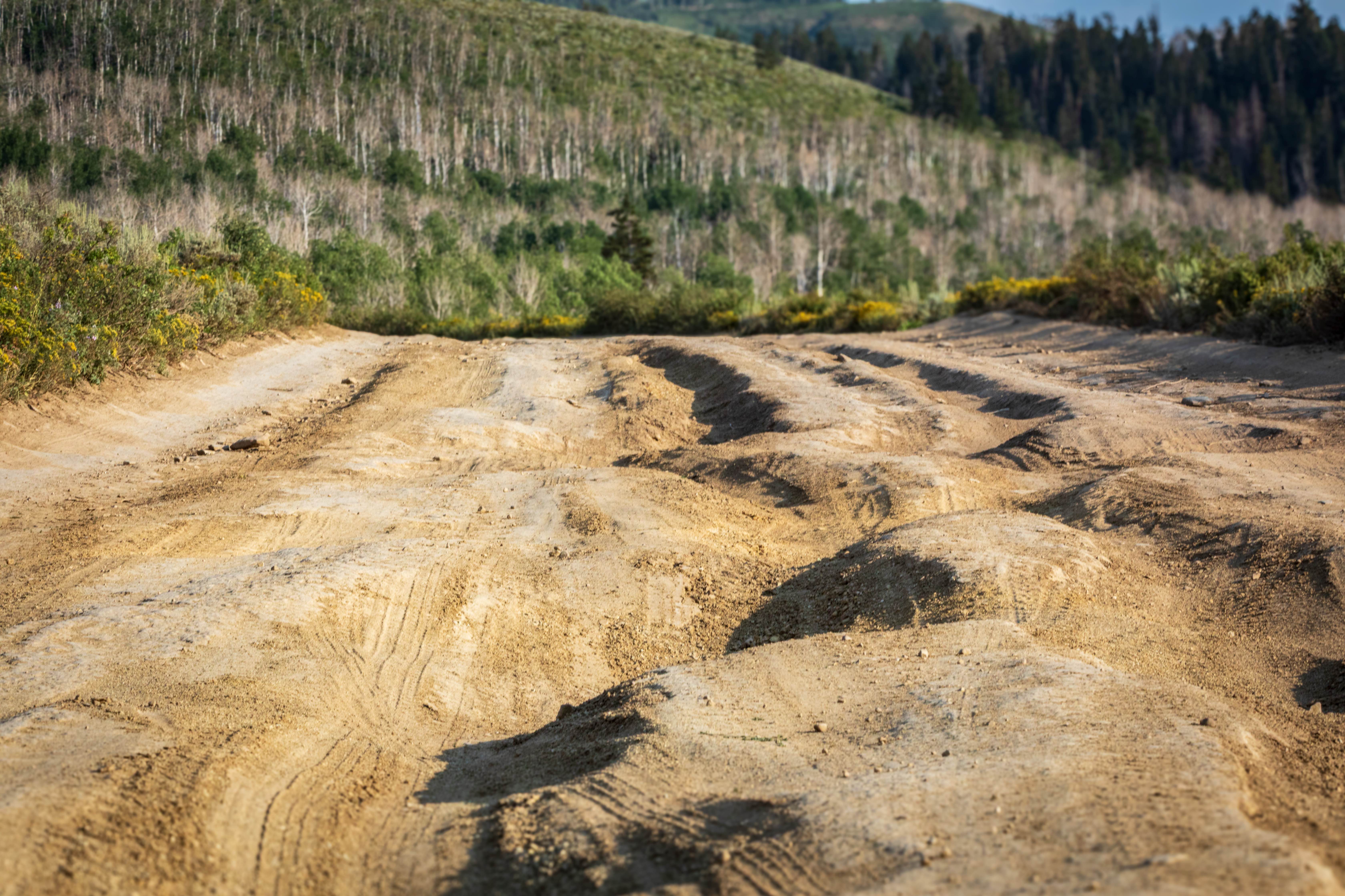 Big Springs - FS 70109