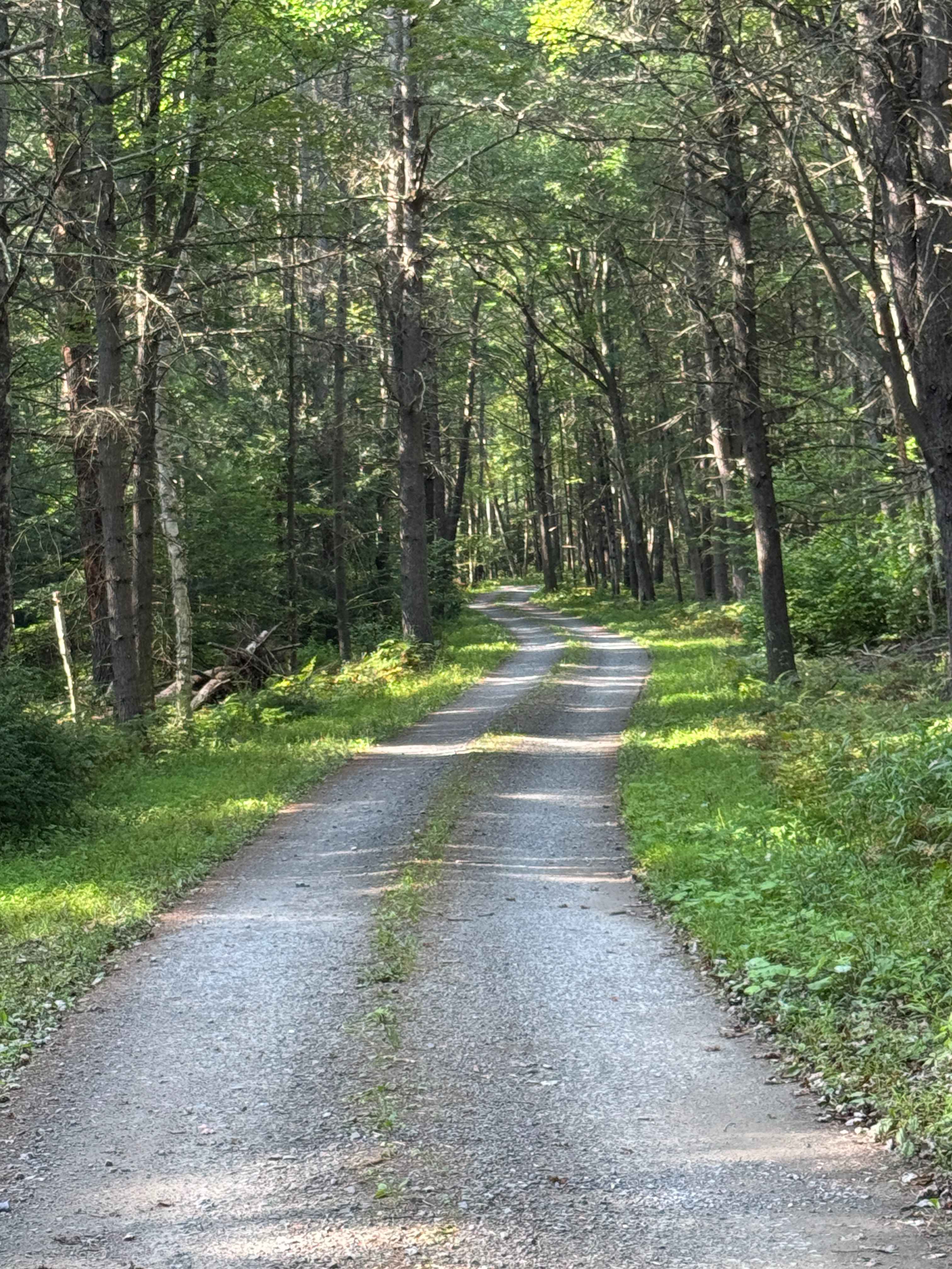 Pine Run Road