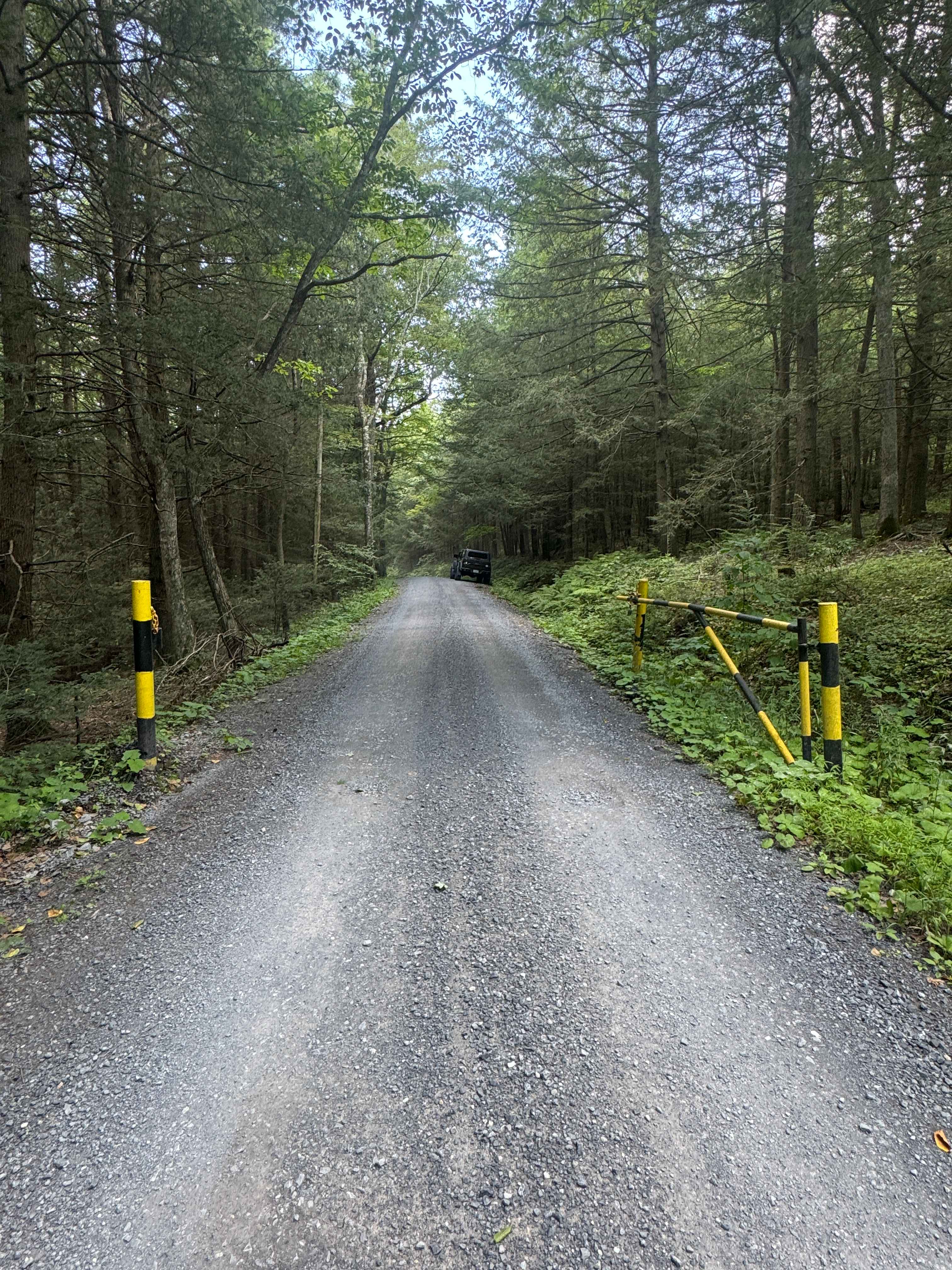 Lower Pine Bottom Road