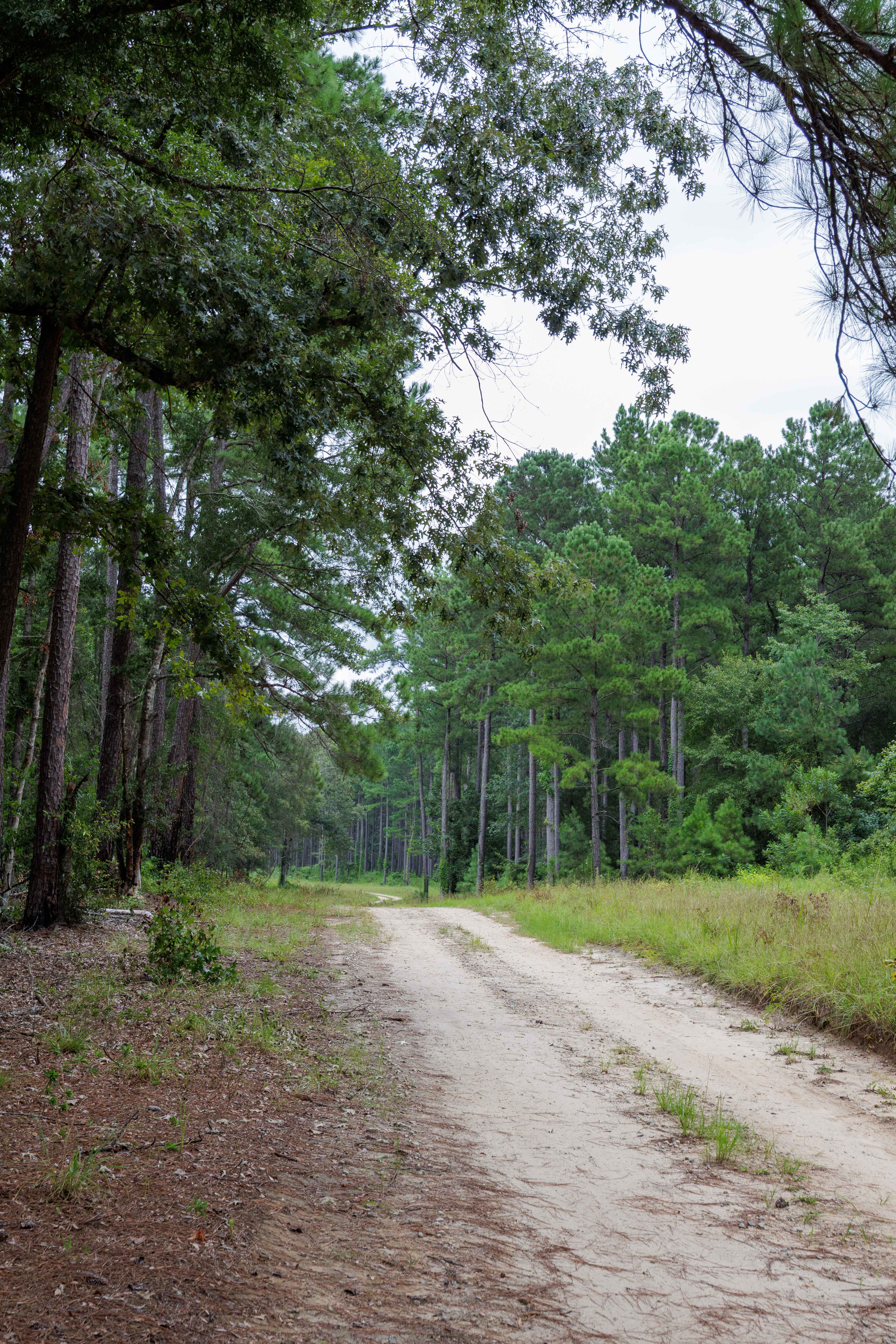 Greenwood Church Road