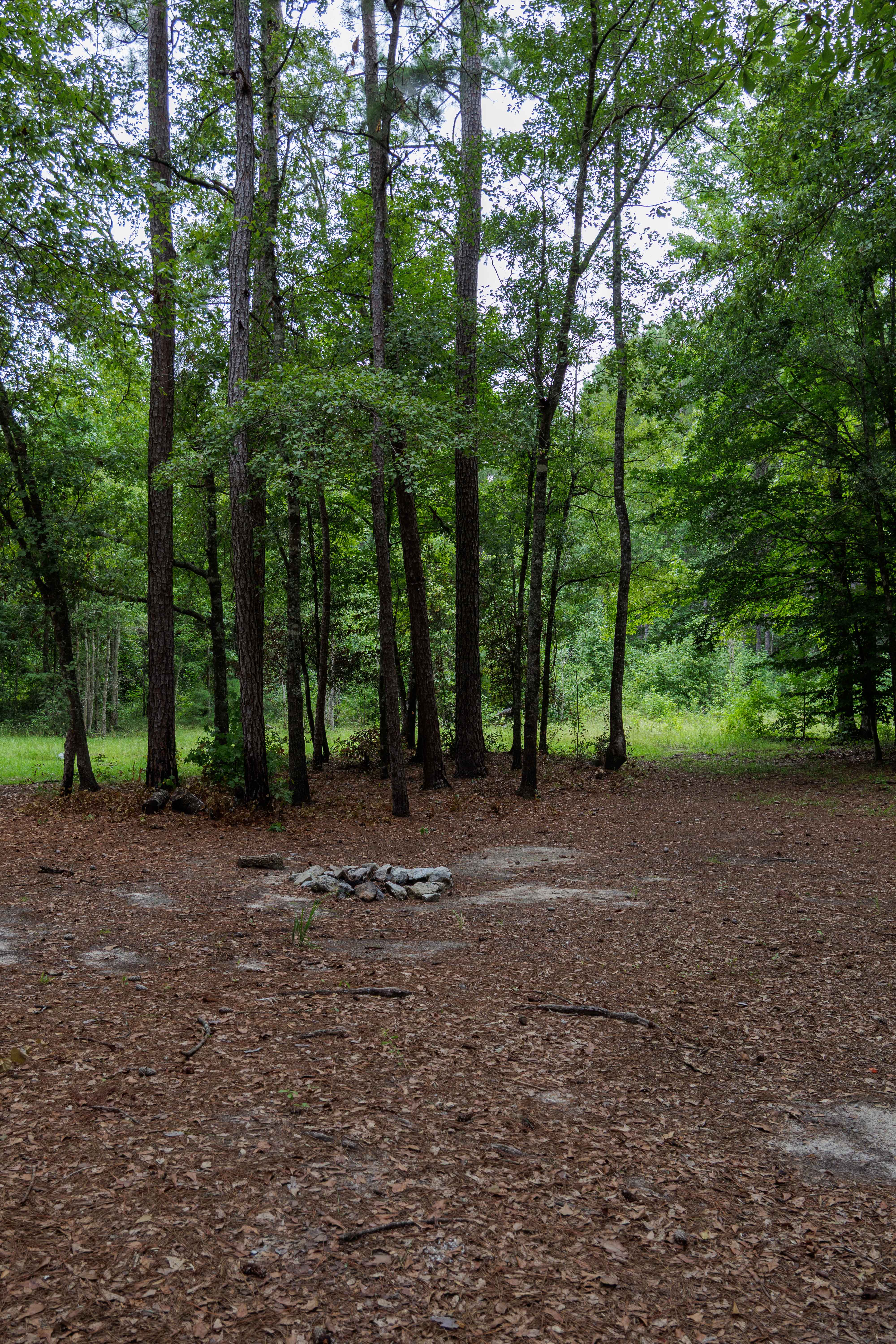 Greenwood Church Road