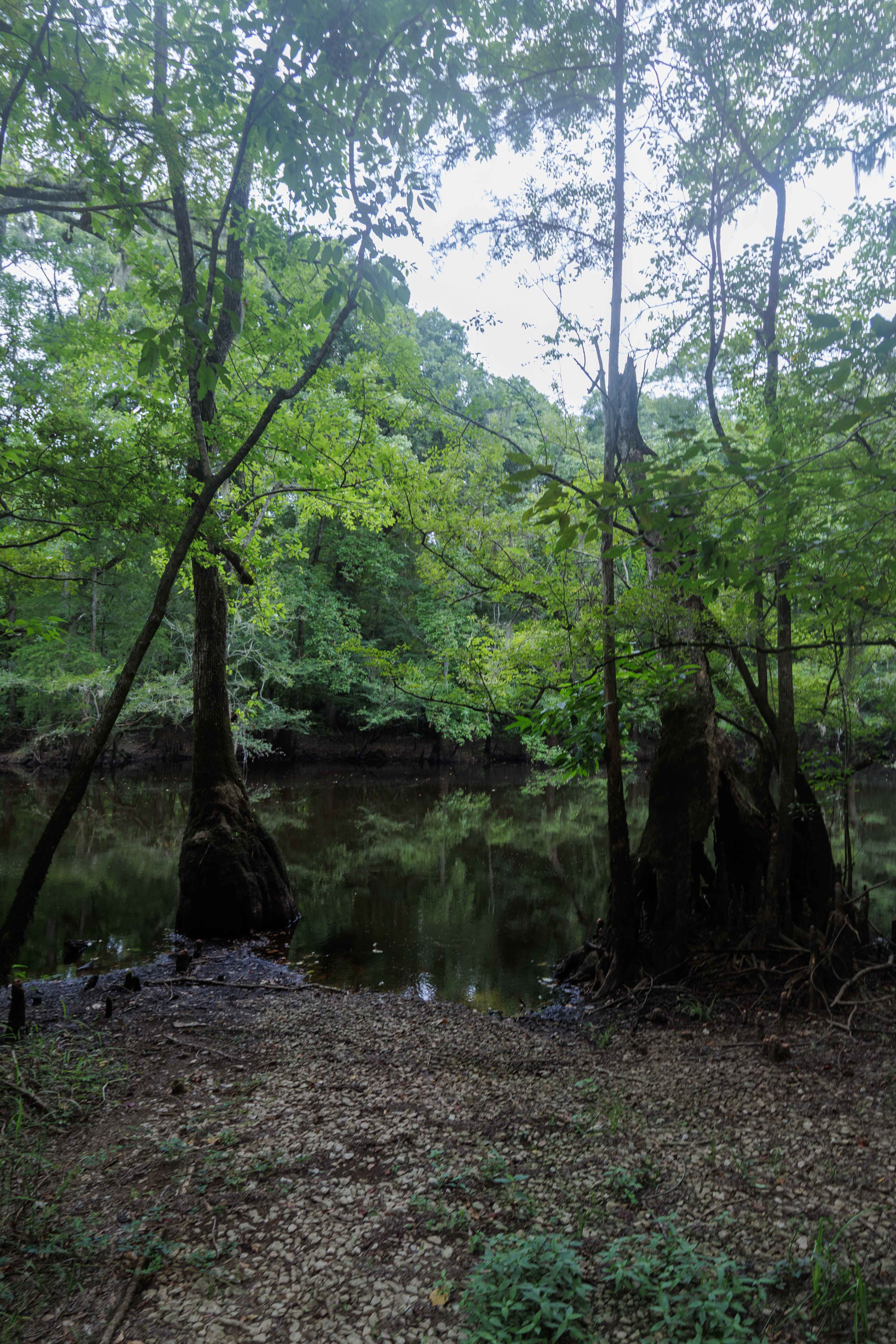 Collard Patch Lake Access