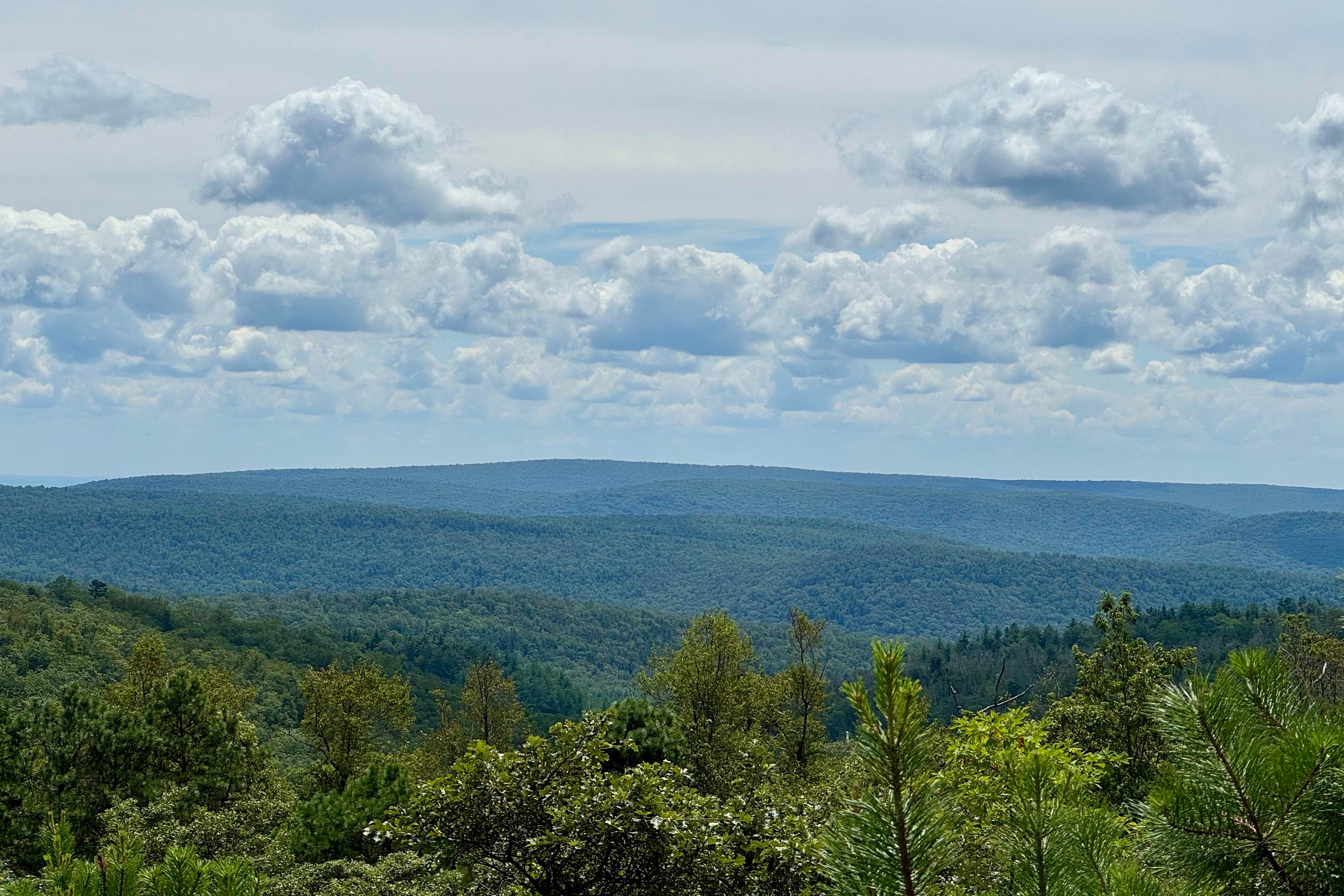 Stillhouse Hollow Road