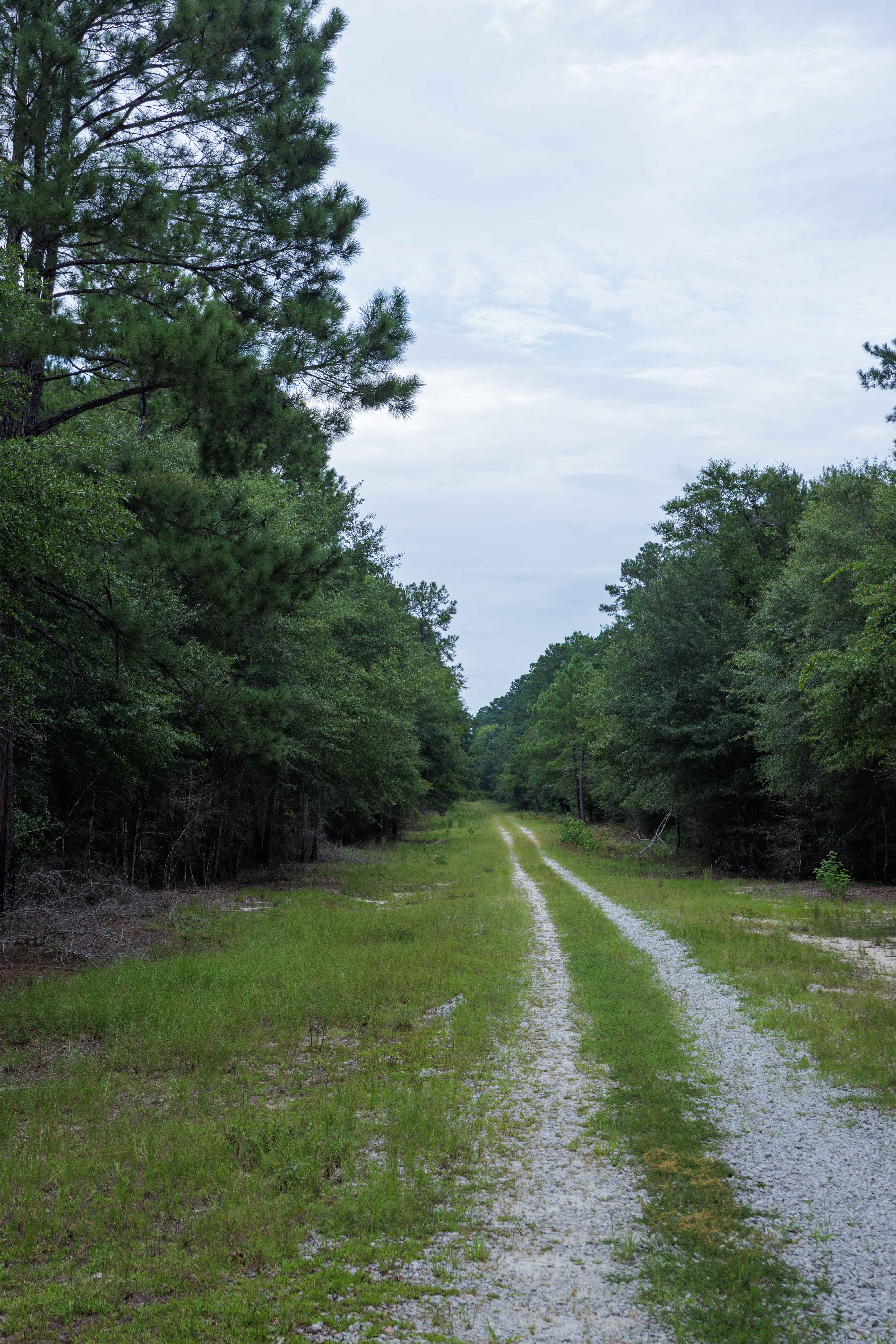 Briarpatch Lake Access
