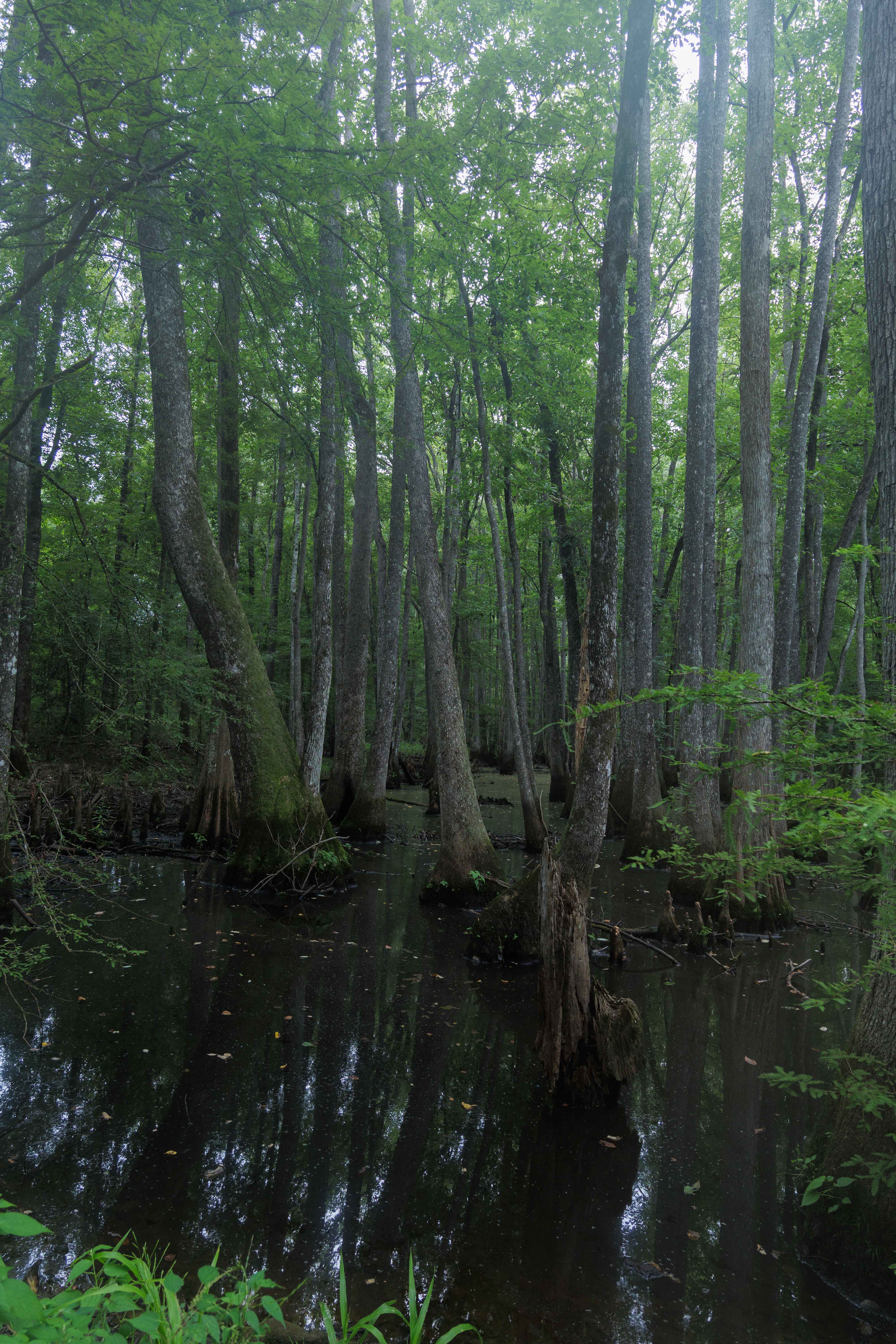 Briarpatch Lake Access