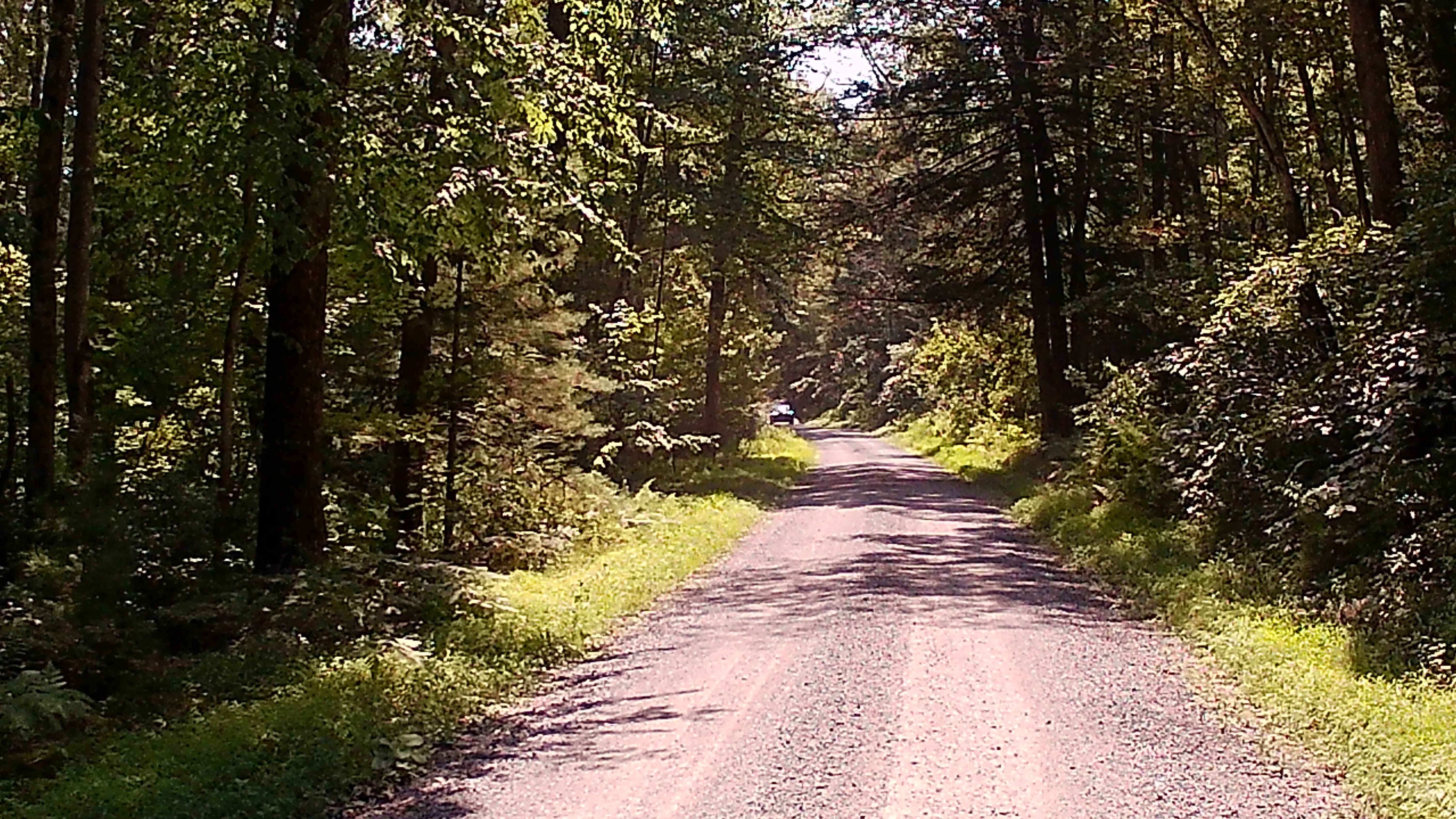 Stover Gap Road