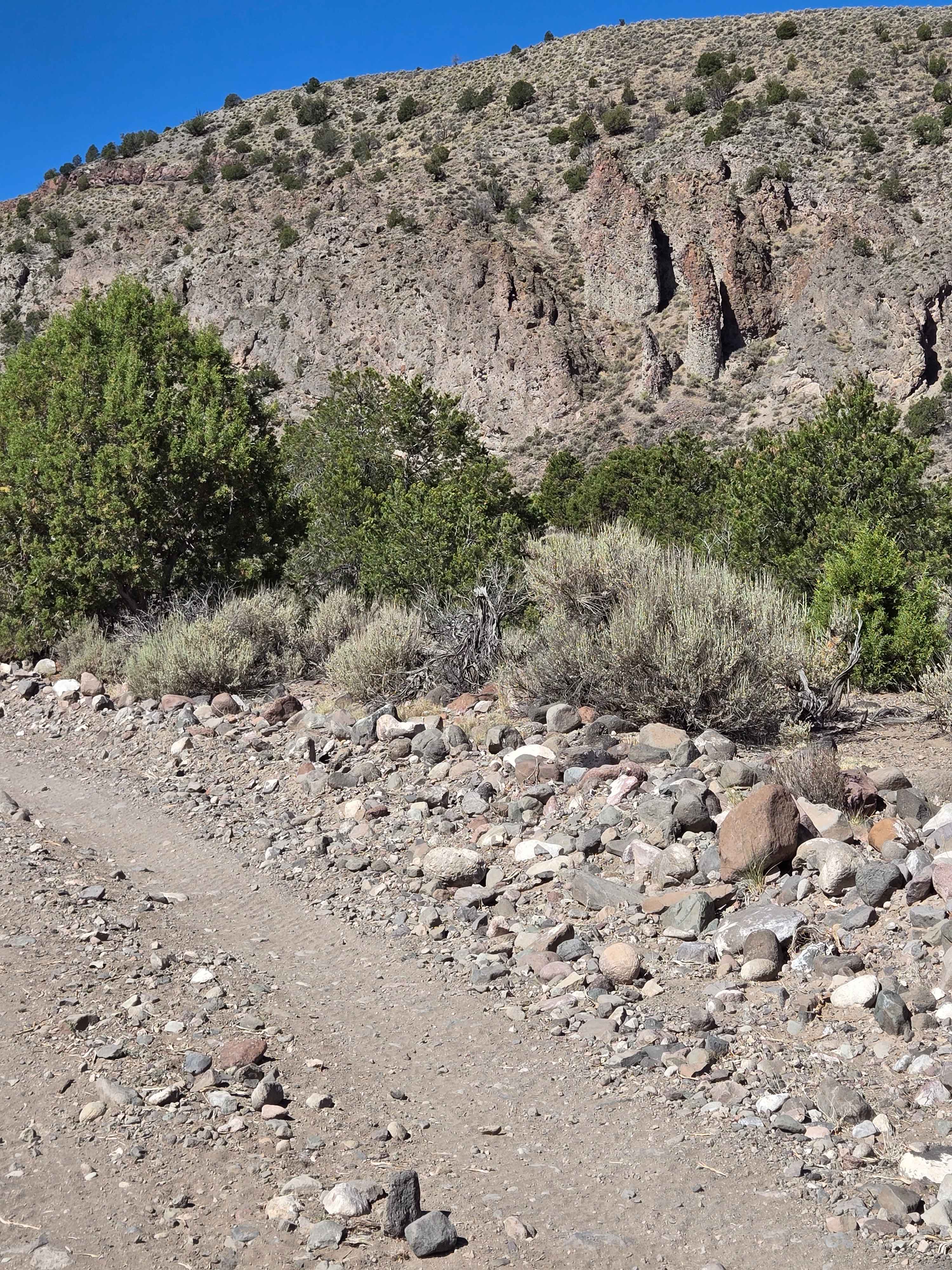 Kingston Canyon (Paiute 1 Trail)