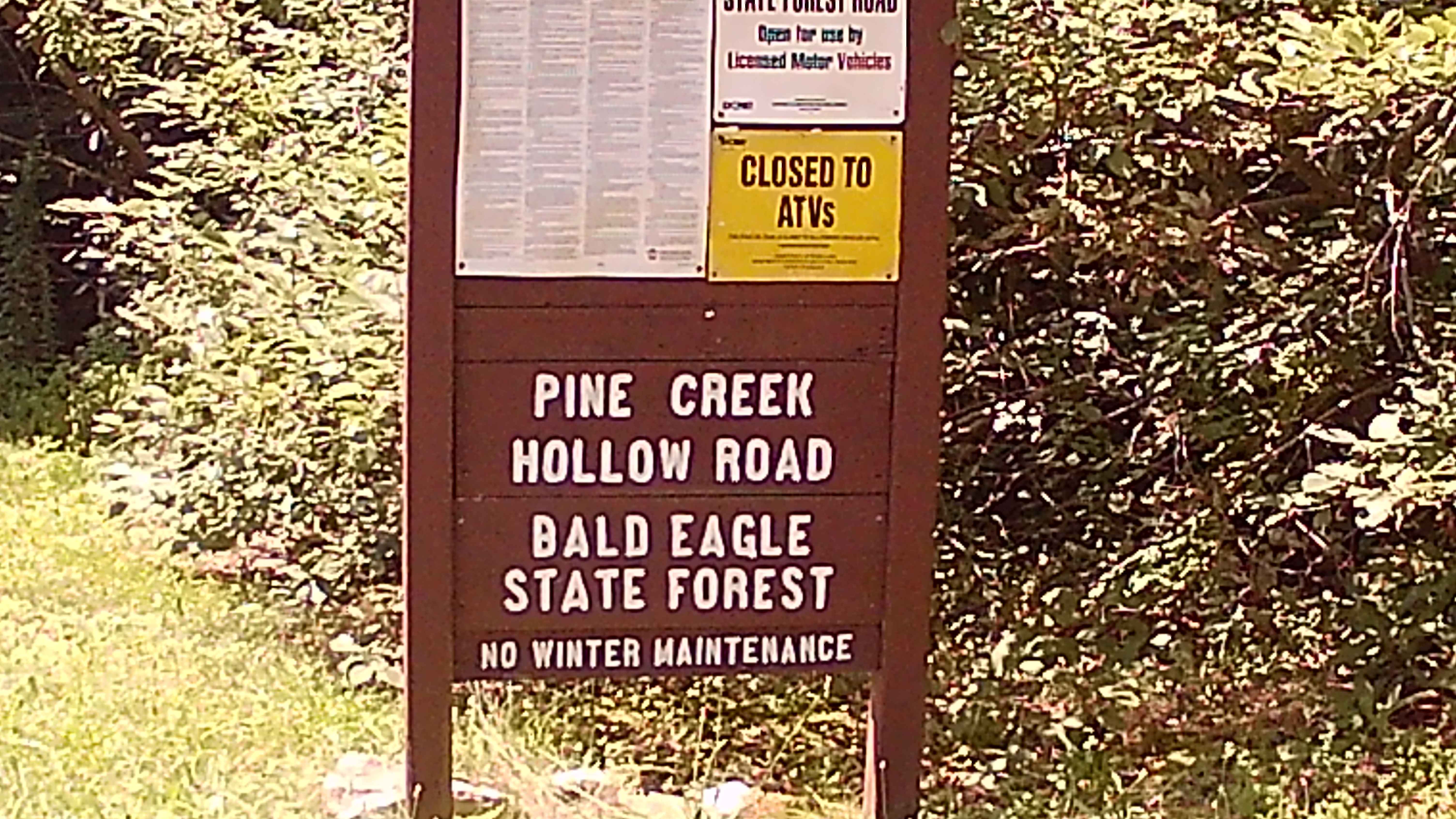 Pine Creek Hollow Road