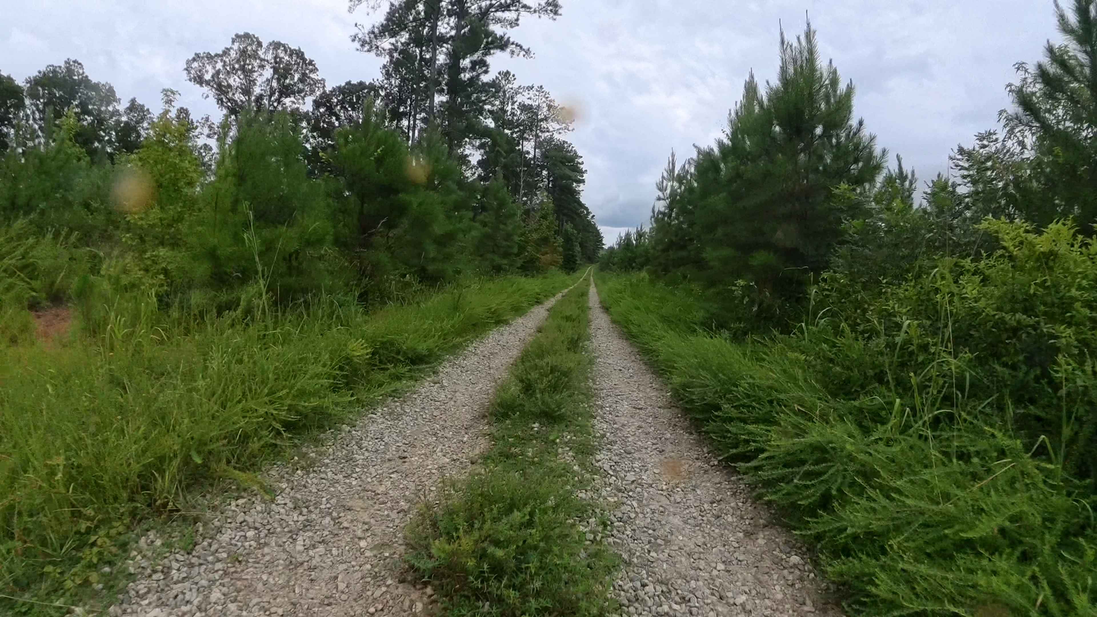 Lower Concord - FS 1017