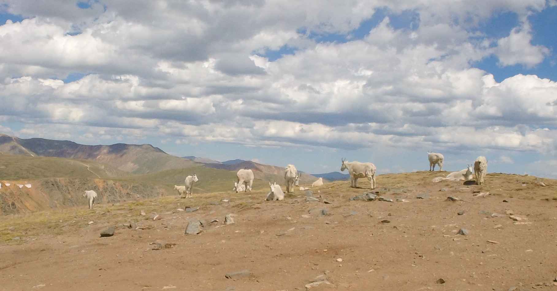 Middle Swan Road - FS 6.2