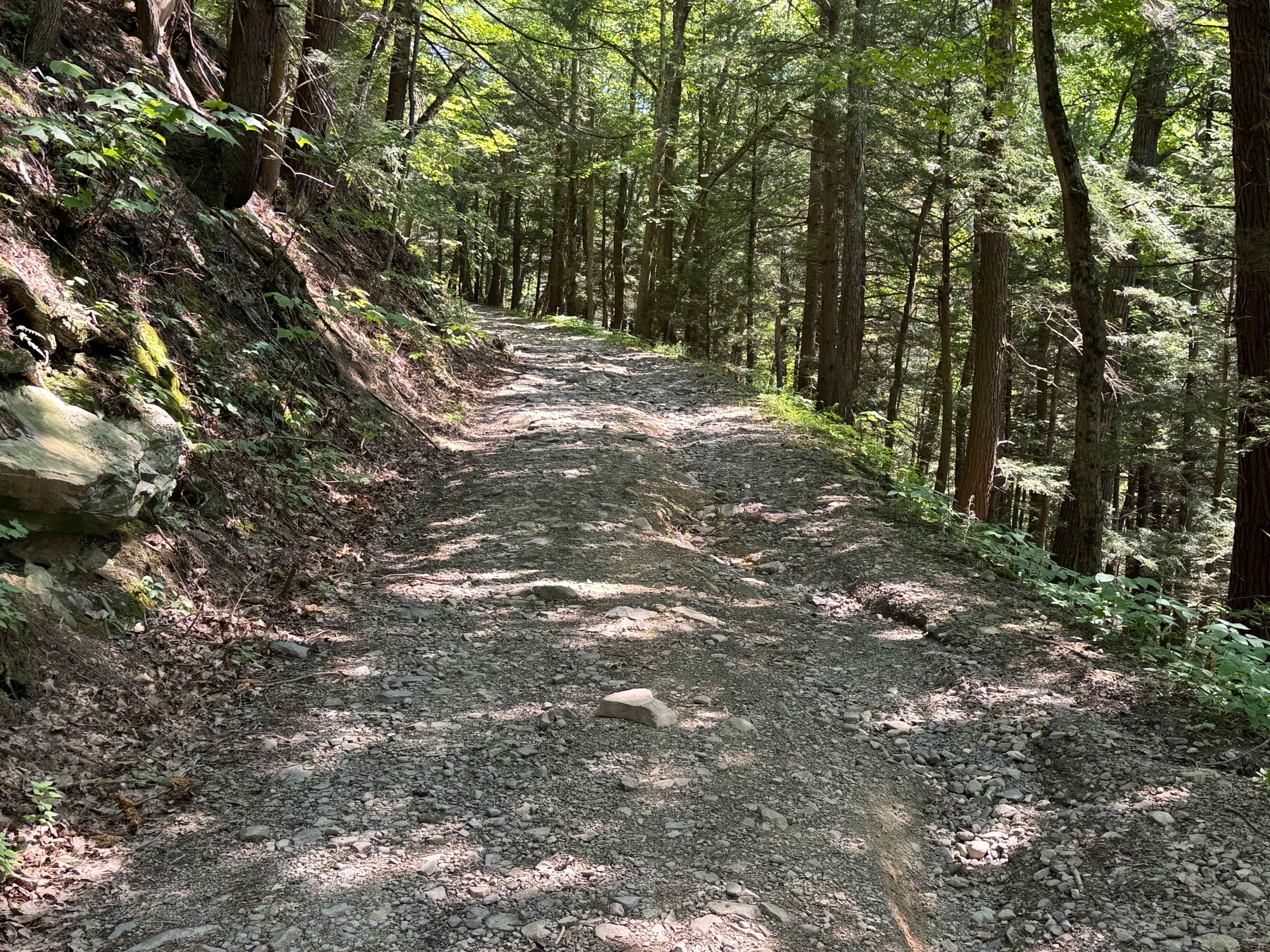 Dave Brown Mountain Road