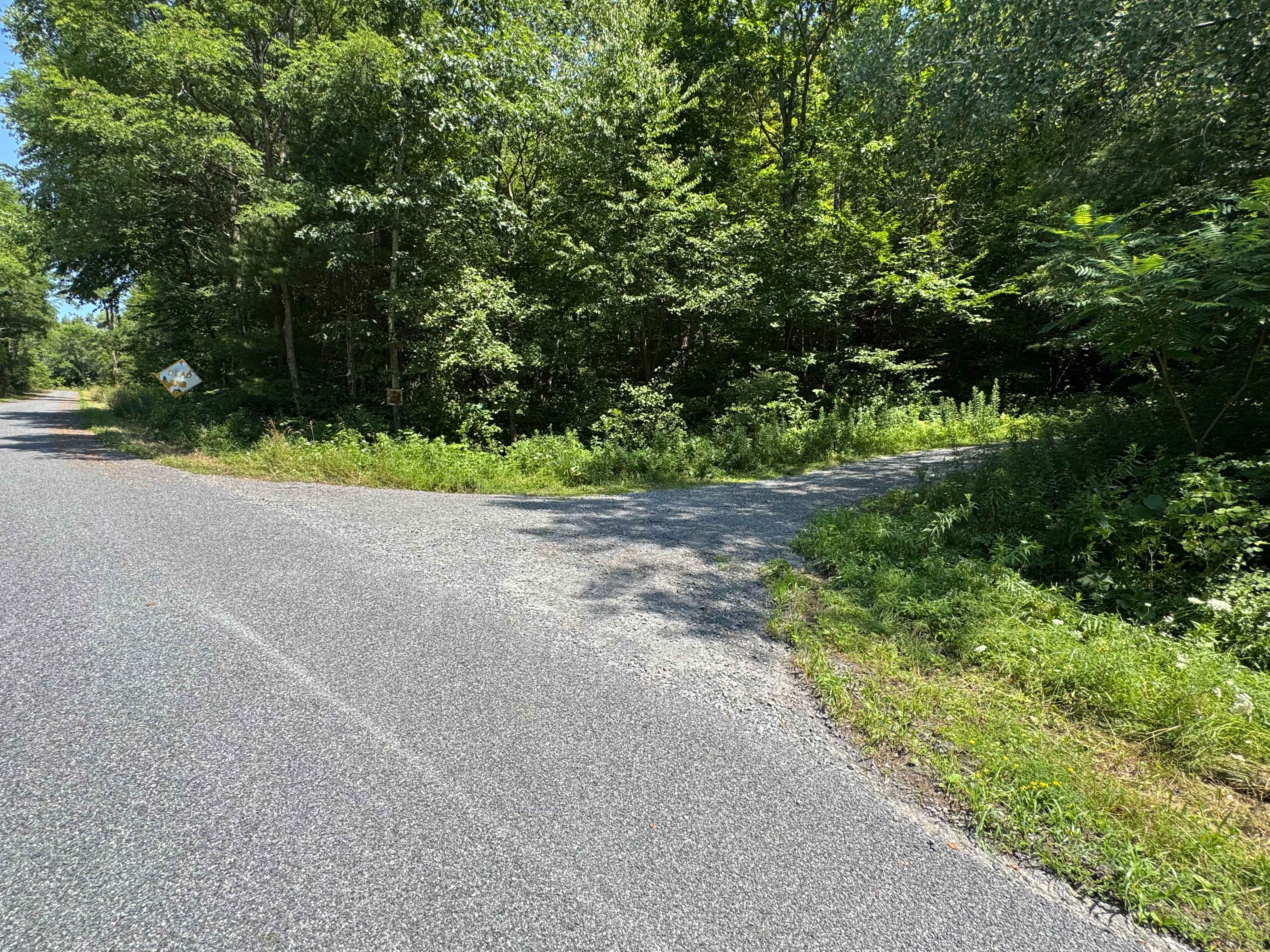 Dave Brown Mountain Road