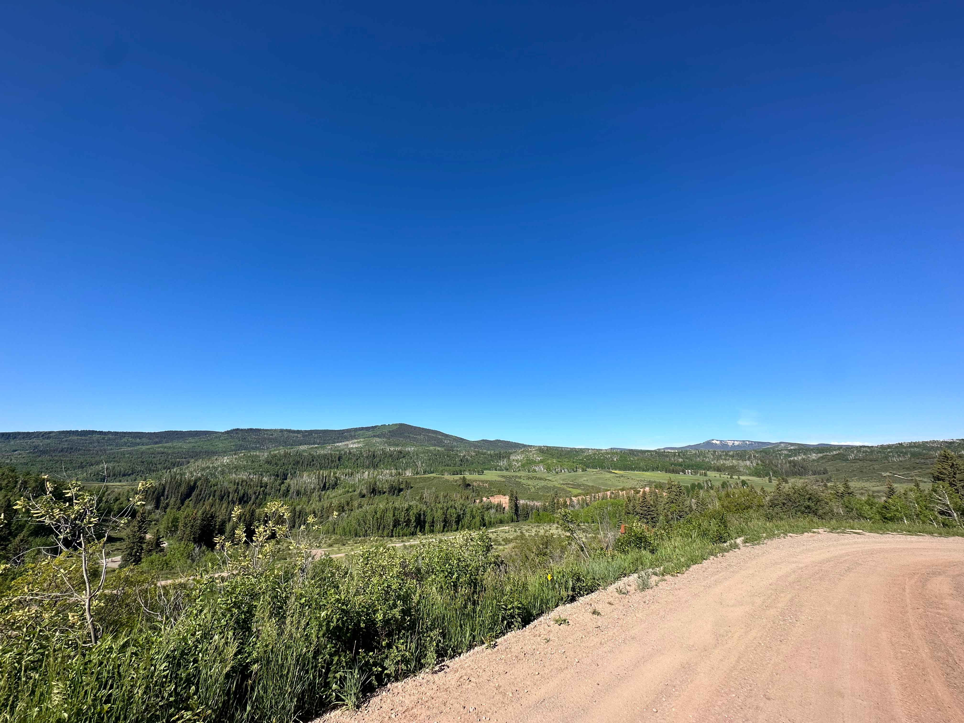 Buzzard Divide Road - FS#265