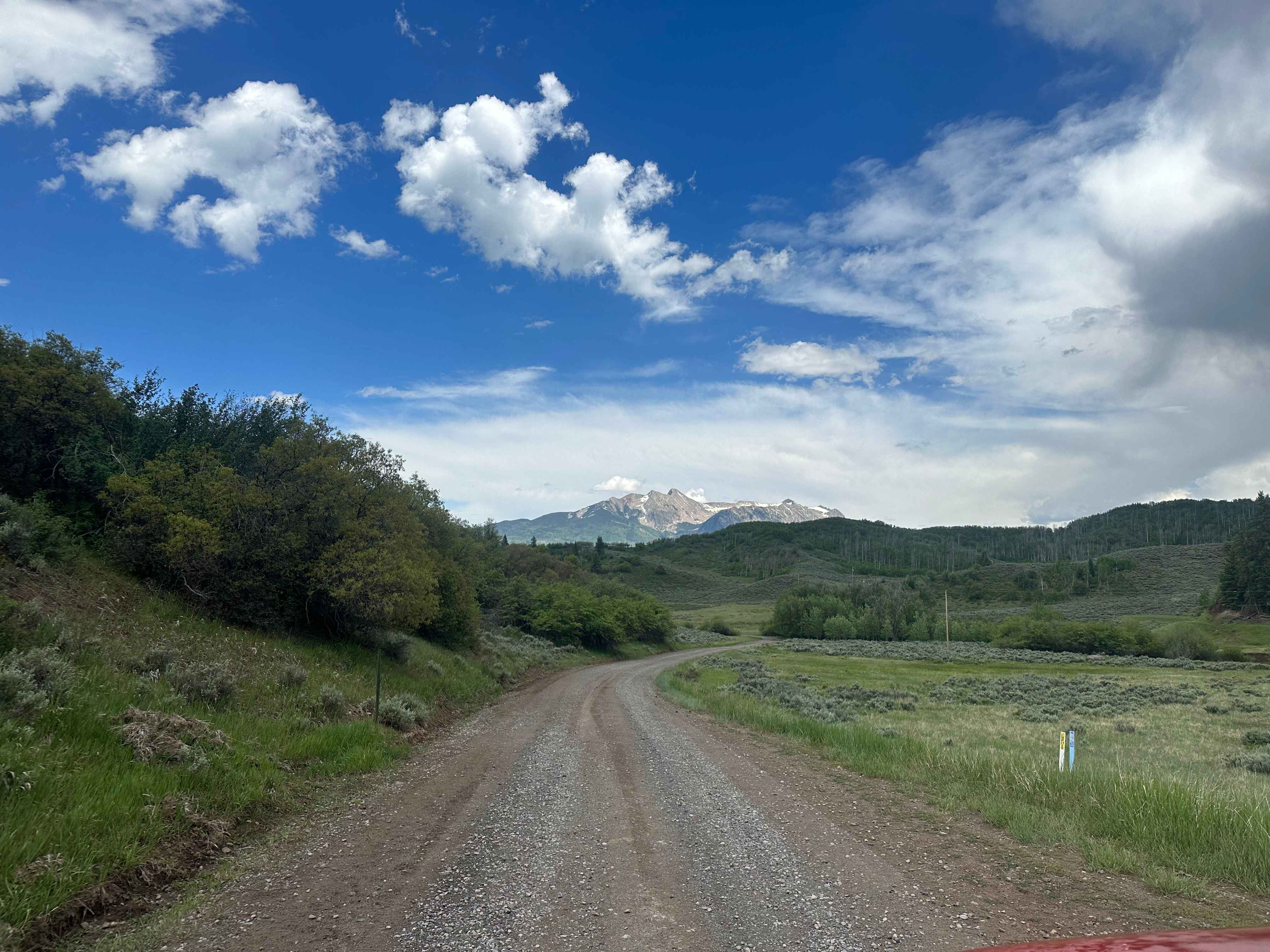 Buzzard Divide Road - FS#265