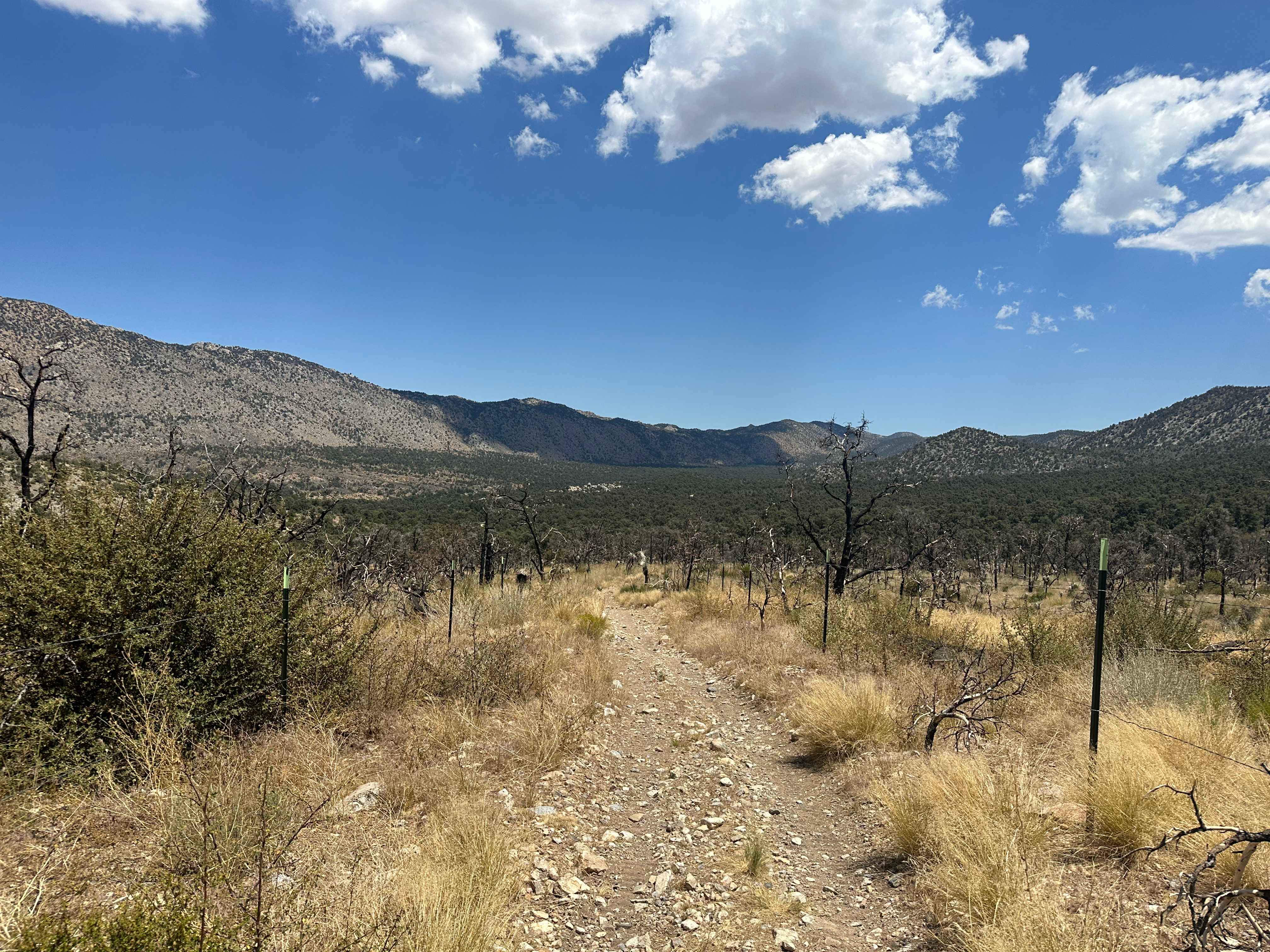 Pinyon & Vista Trail Loop - FS 2E20