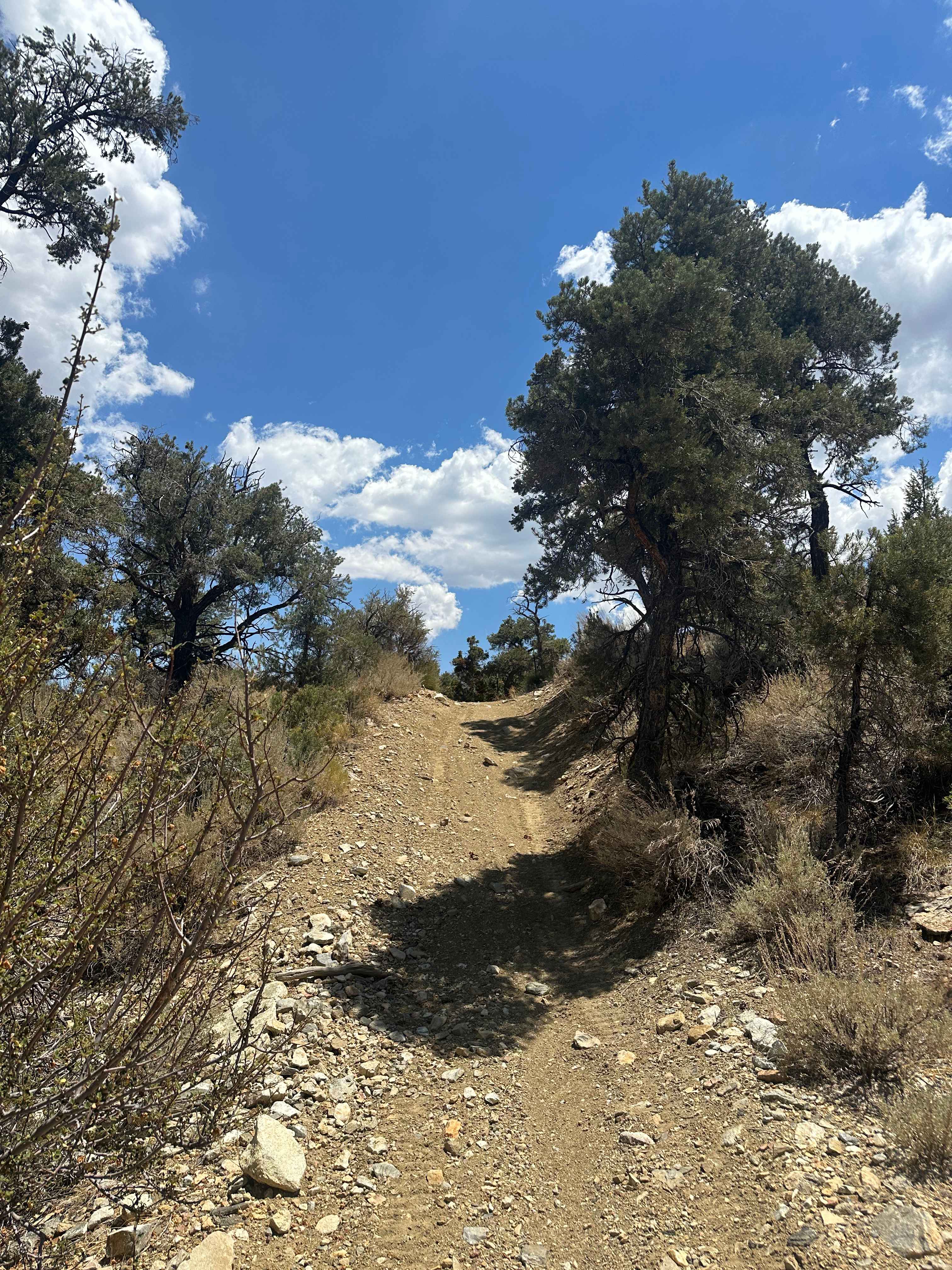 Pinyon & Vista Trail Loop - FS 2E20