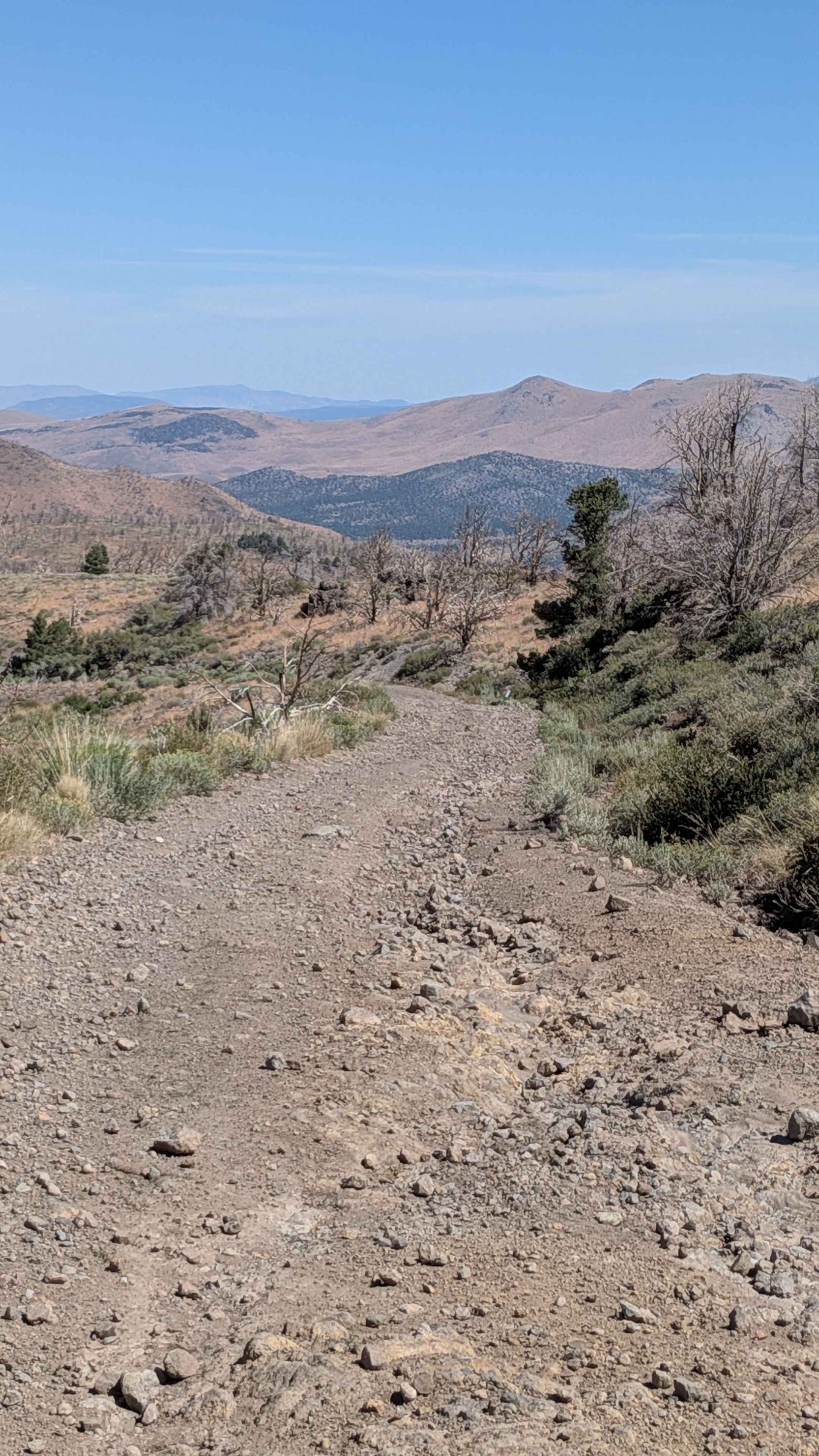 Big Spring Spur Road