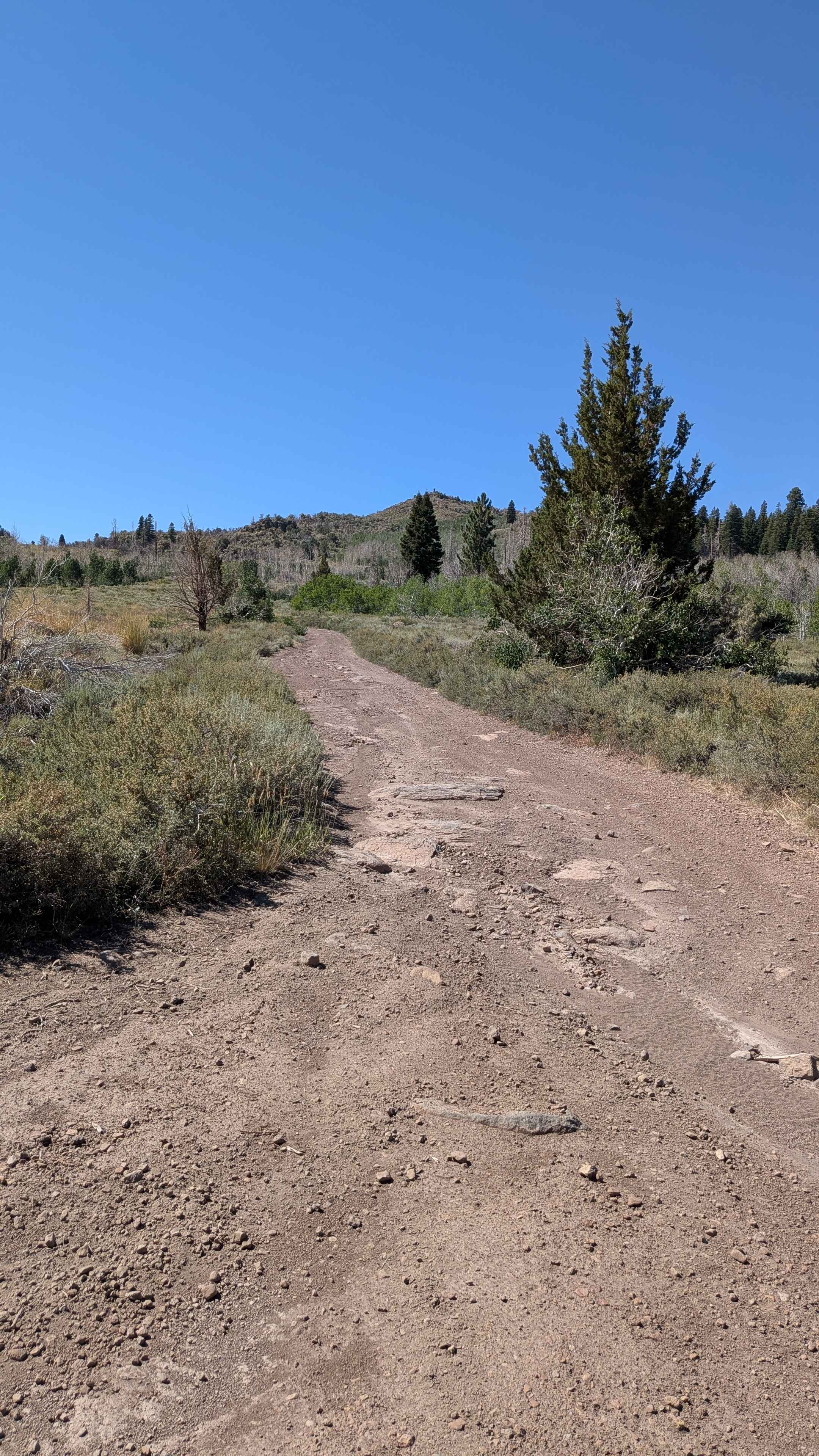 Big Spring Spur Road