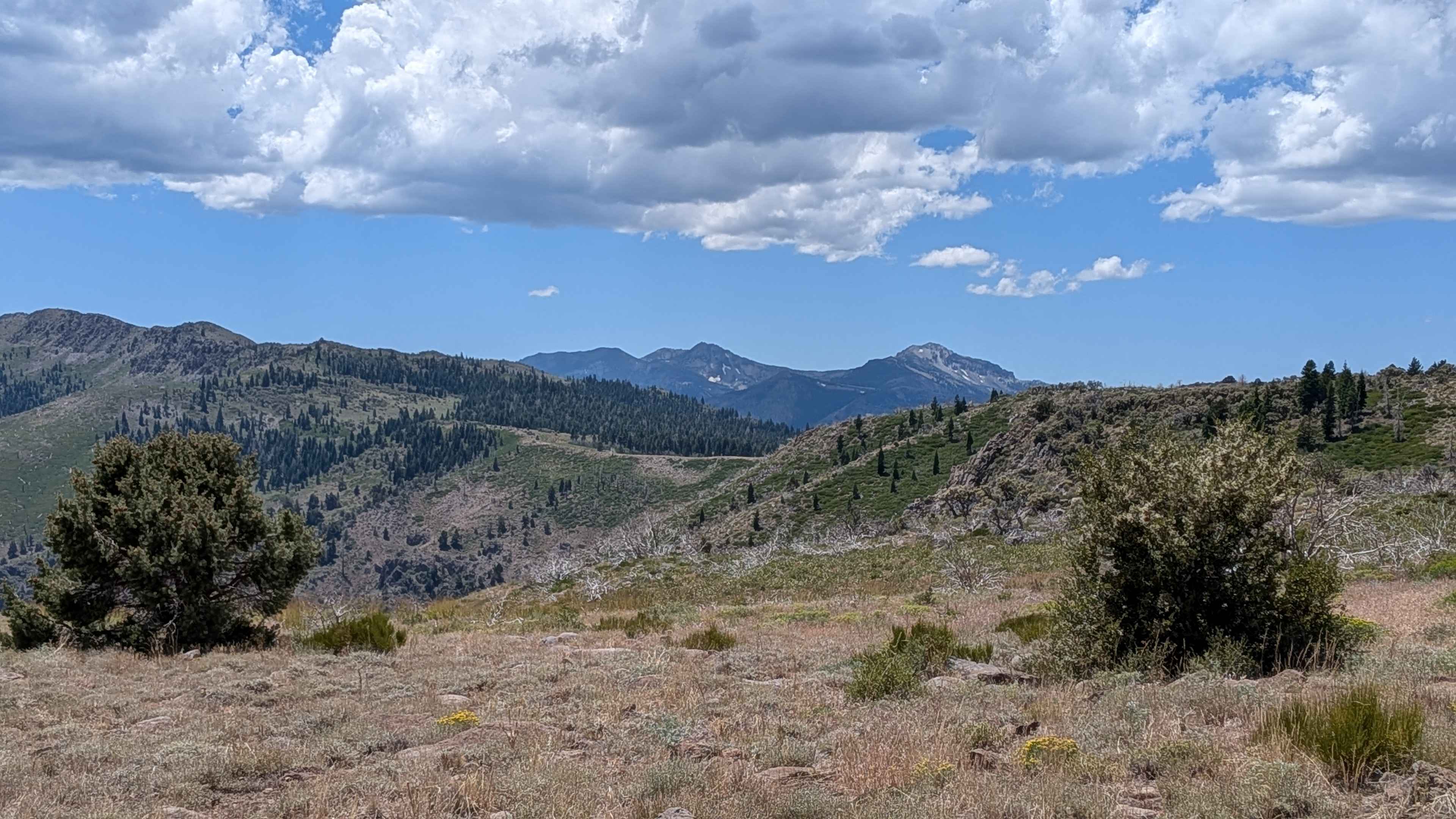 Two Road Road - FS 31358D