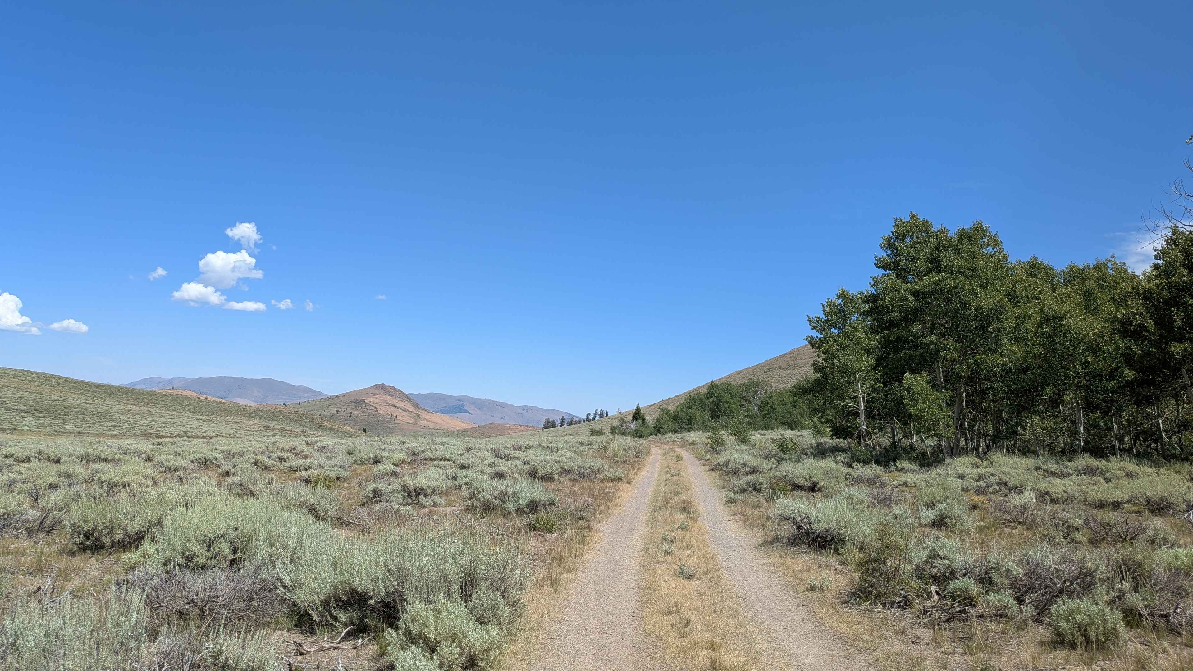 Two Road Road - FS 31358D