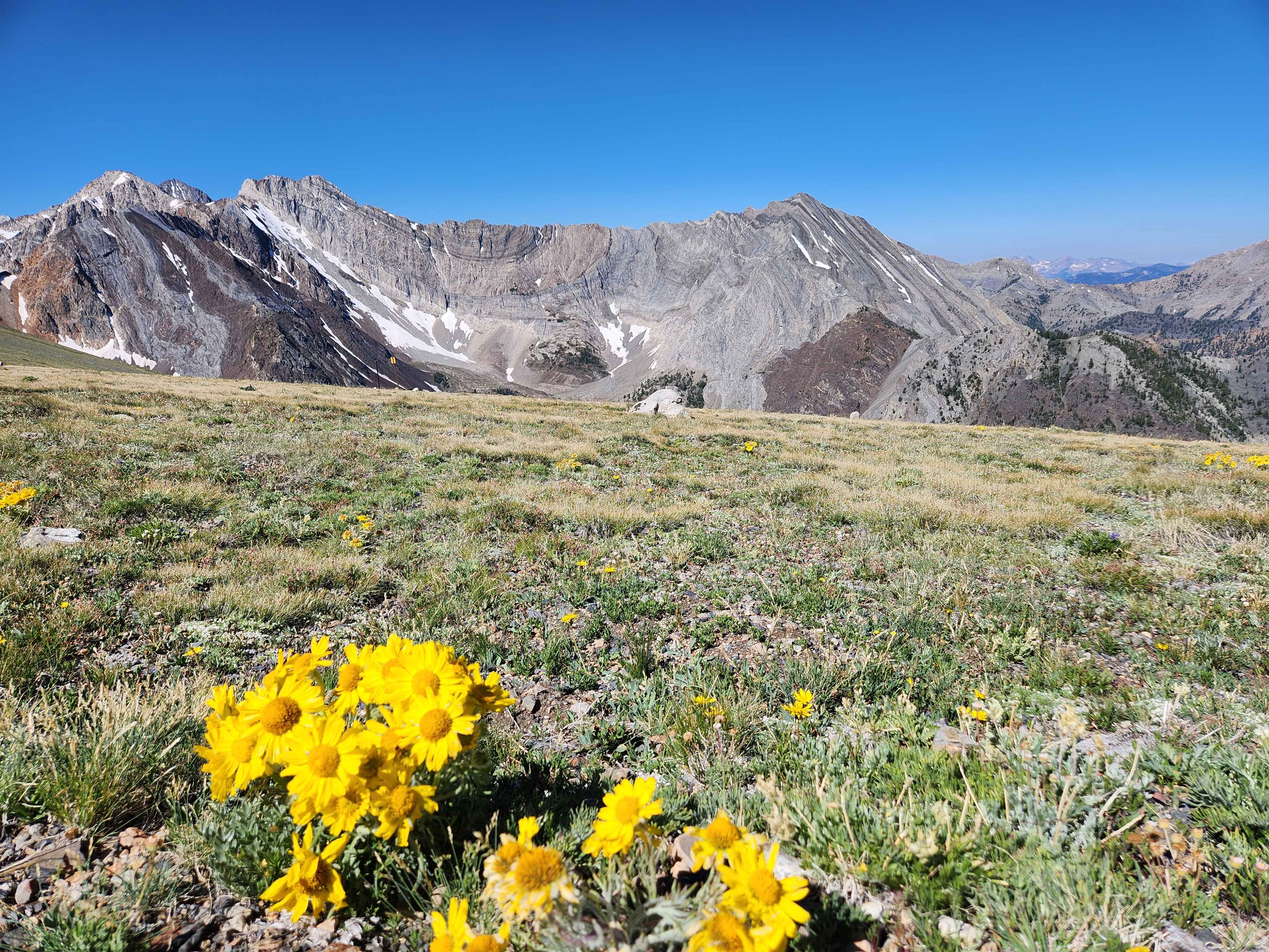Jim Creek / Livingston Mine