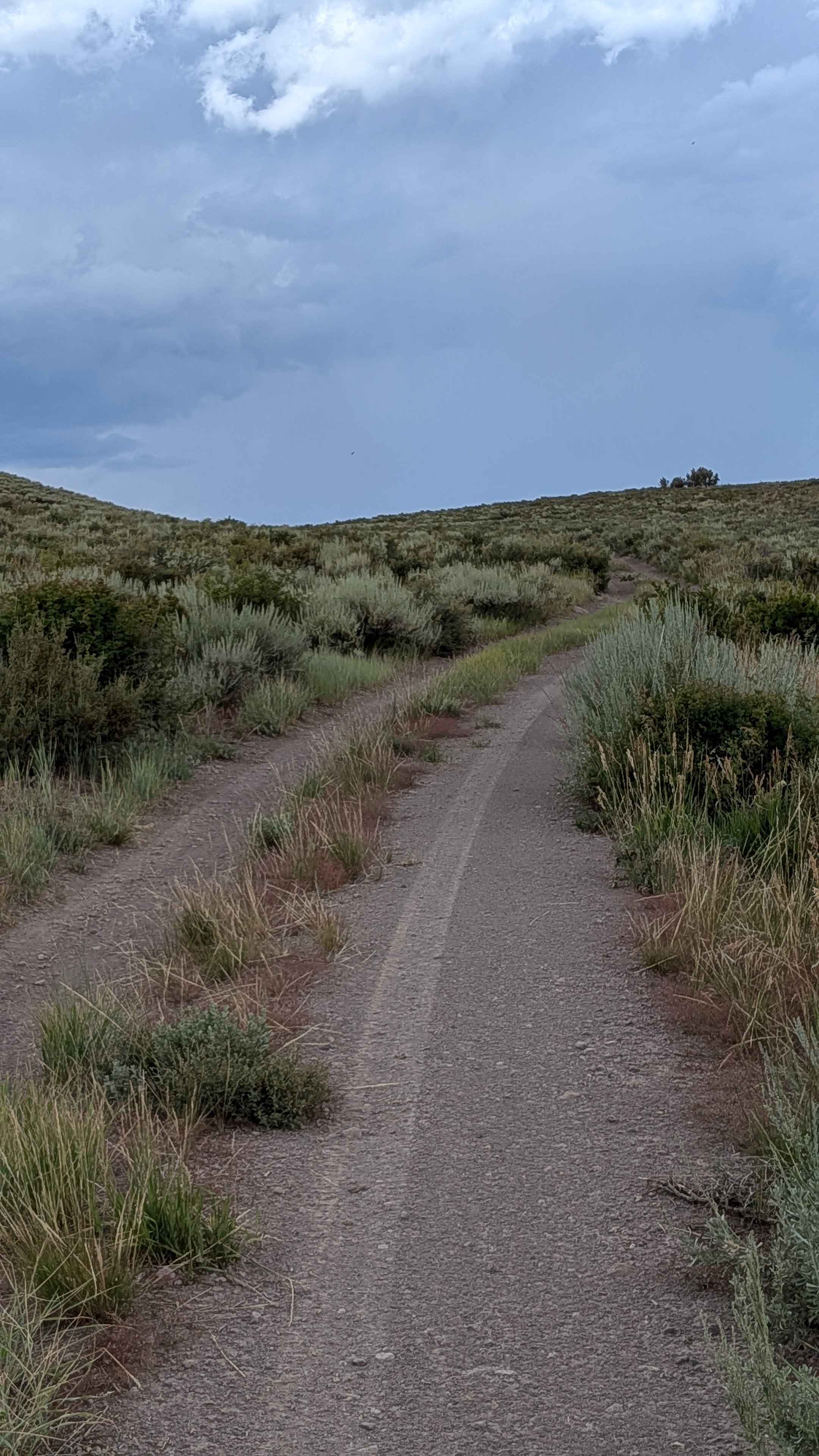 Shepherd Road - FS 31354