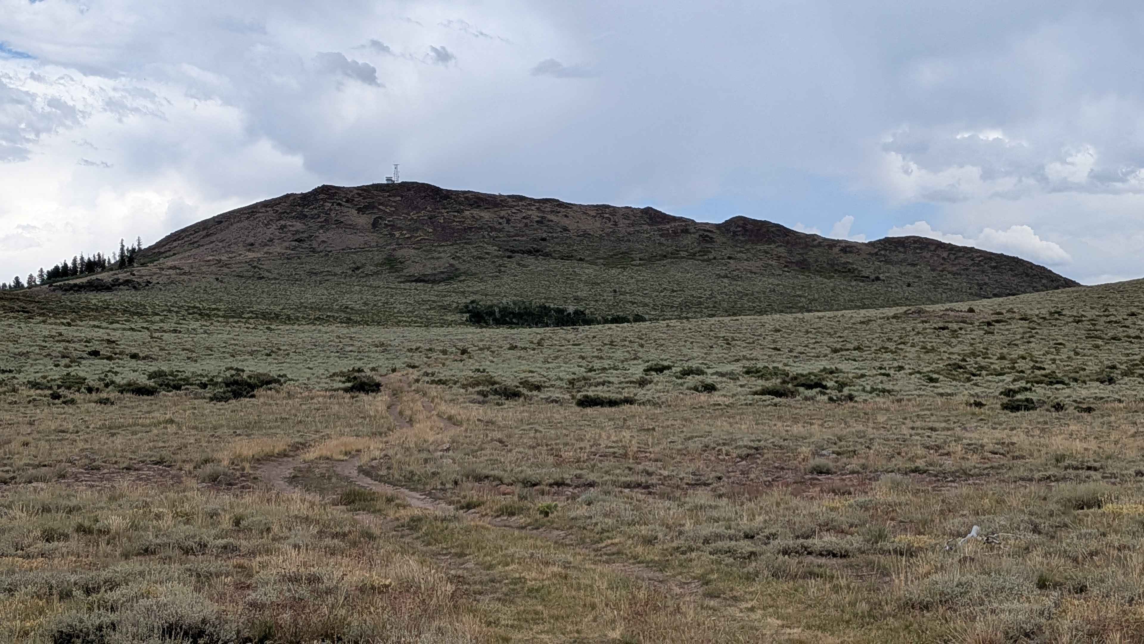 Shepherd Road - FS 31354