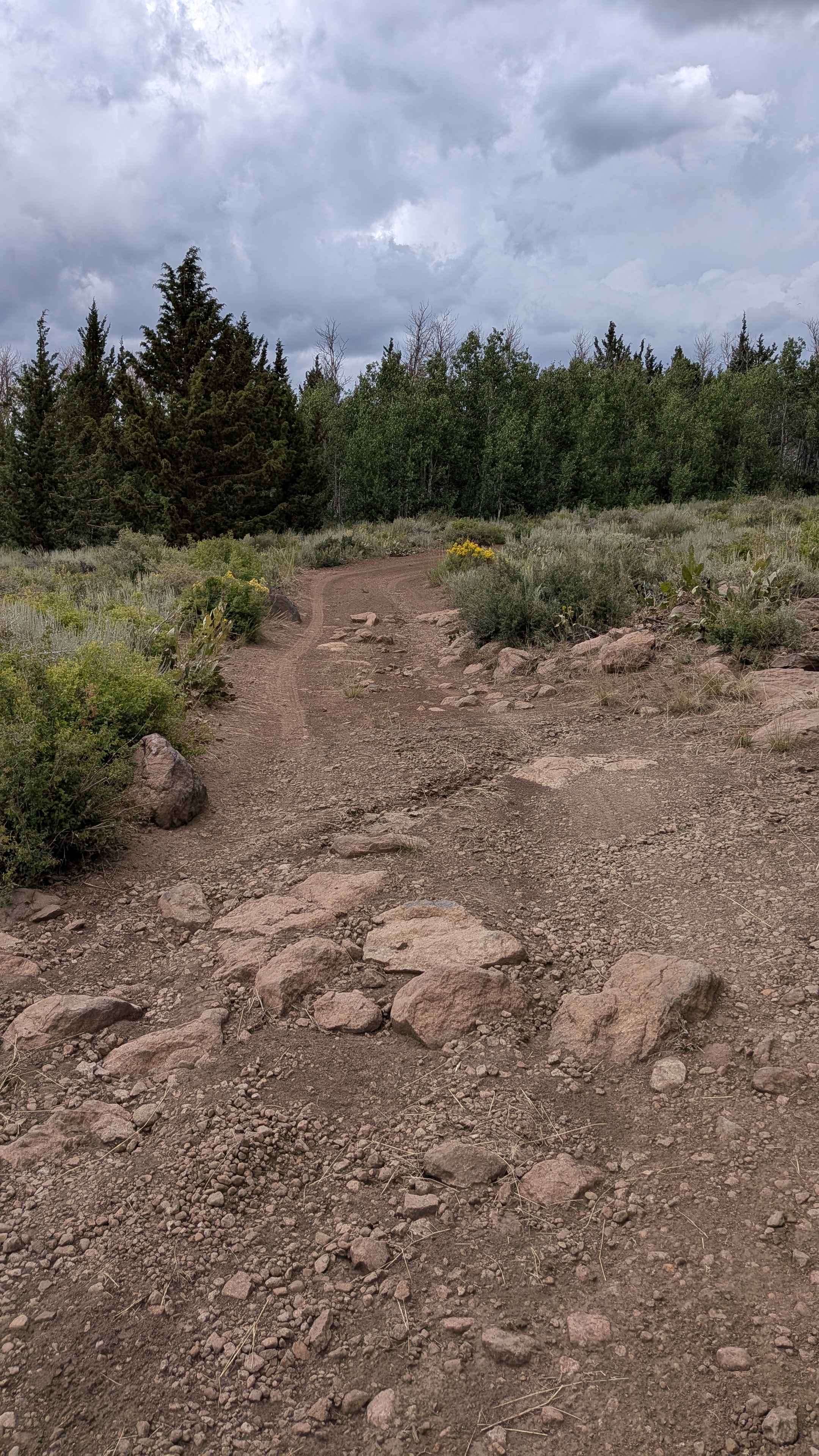 Heenan Spring Road - FS 31084