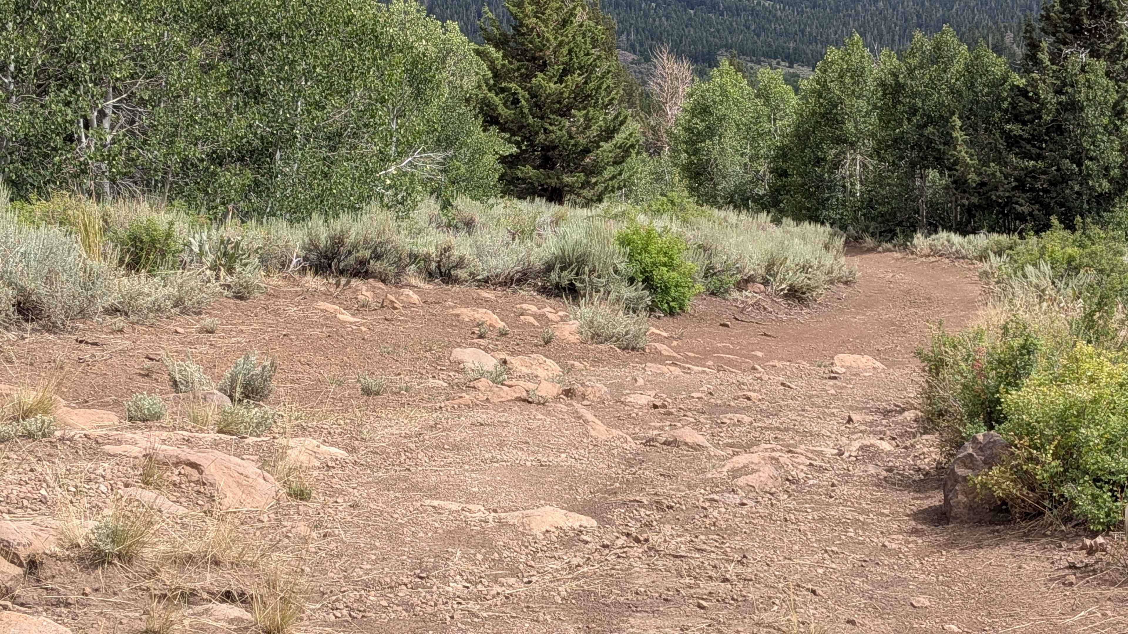 Heenan Spring Road - FS 31084