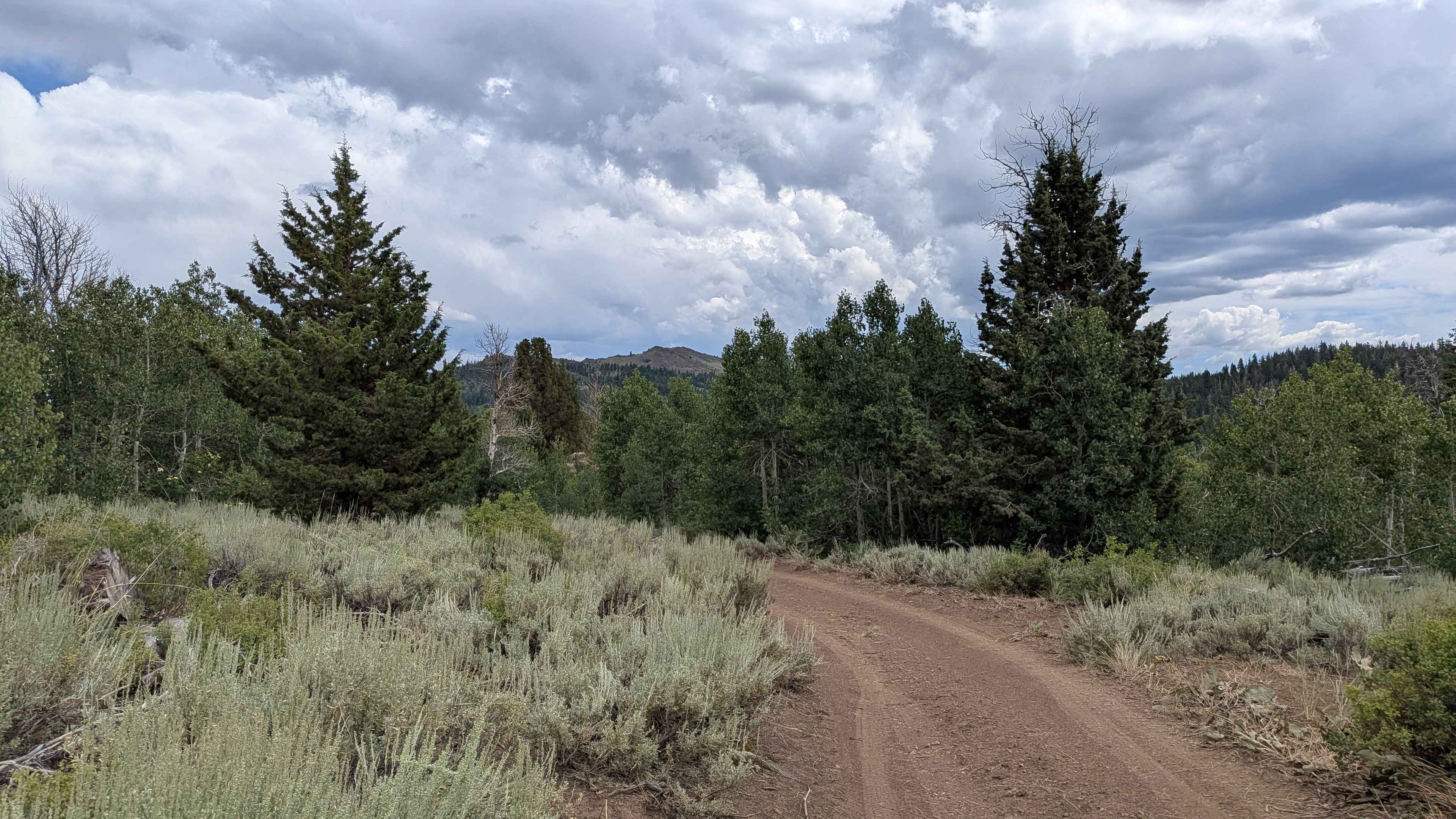 Pass Spur Road - FS 3108B