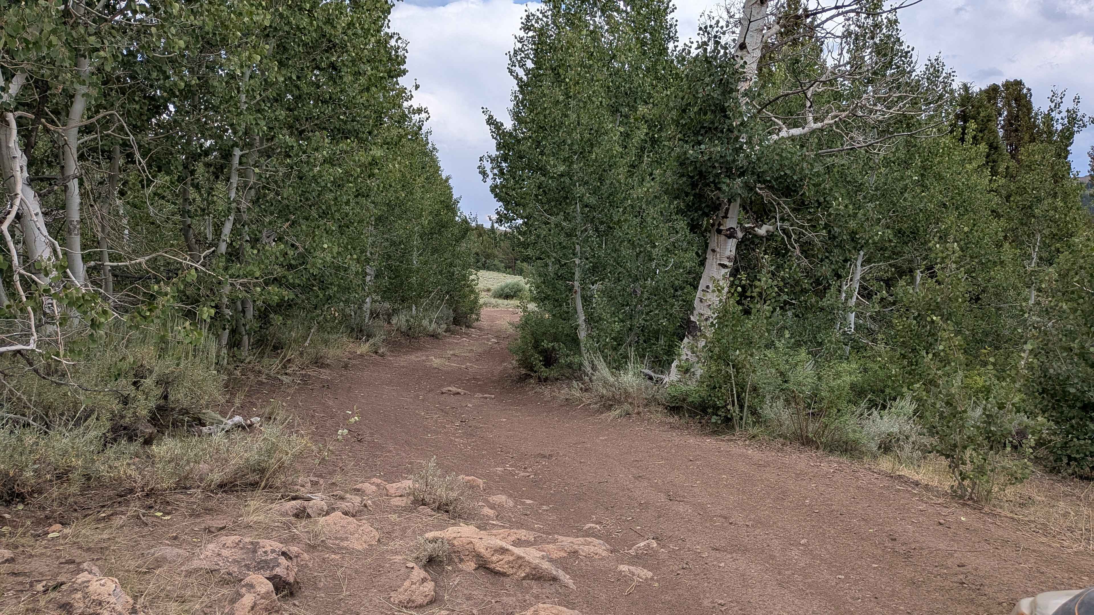 Pass Spur Road - FS 3108B