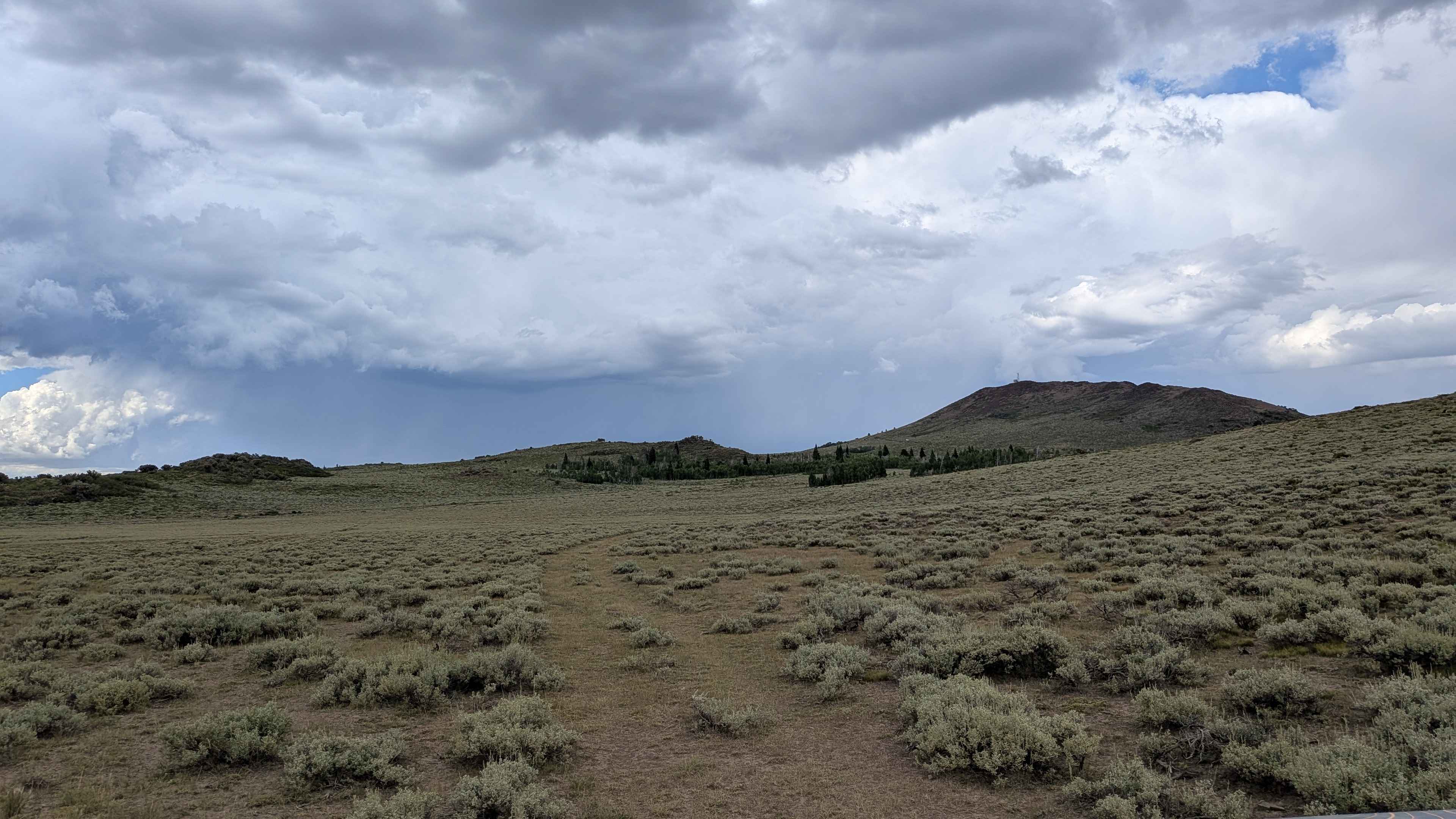 Forest Service Road S31084A Cutoff