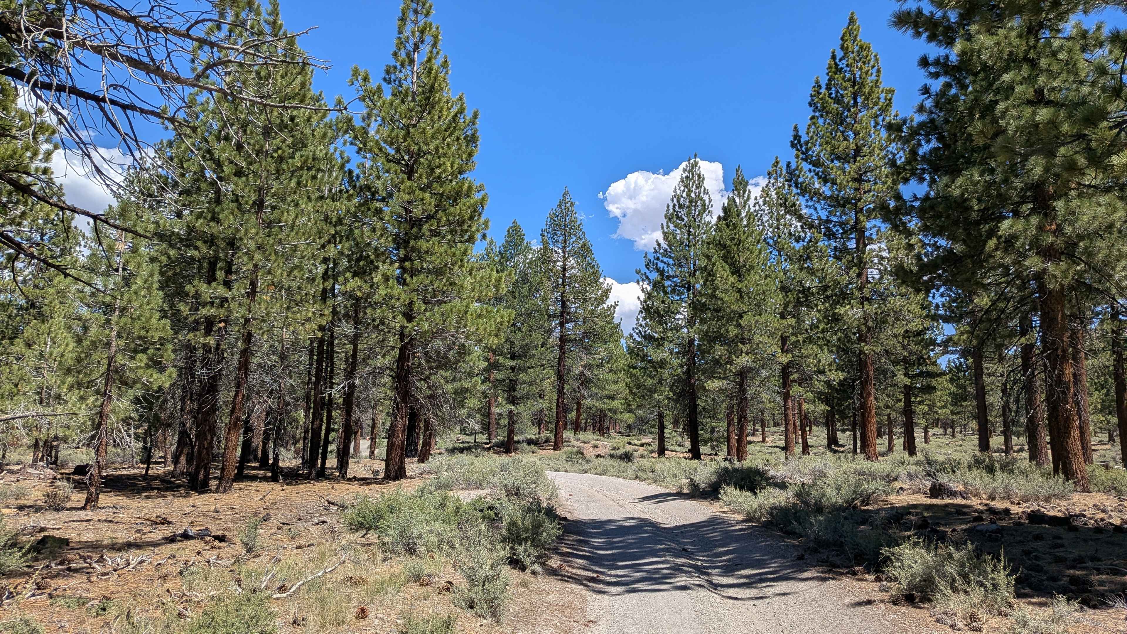 Alpers Canyon Upper FS2S42