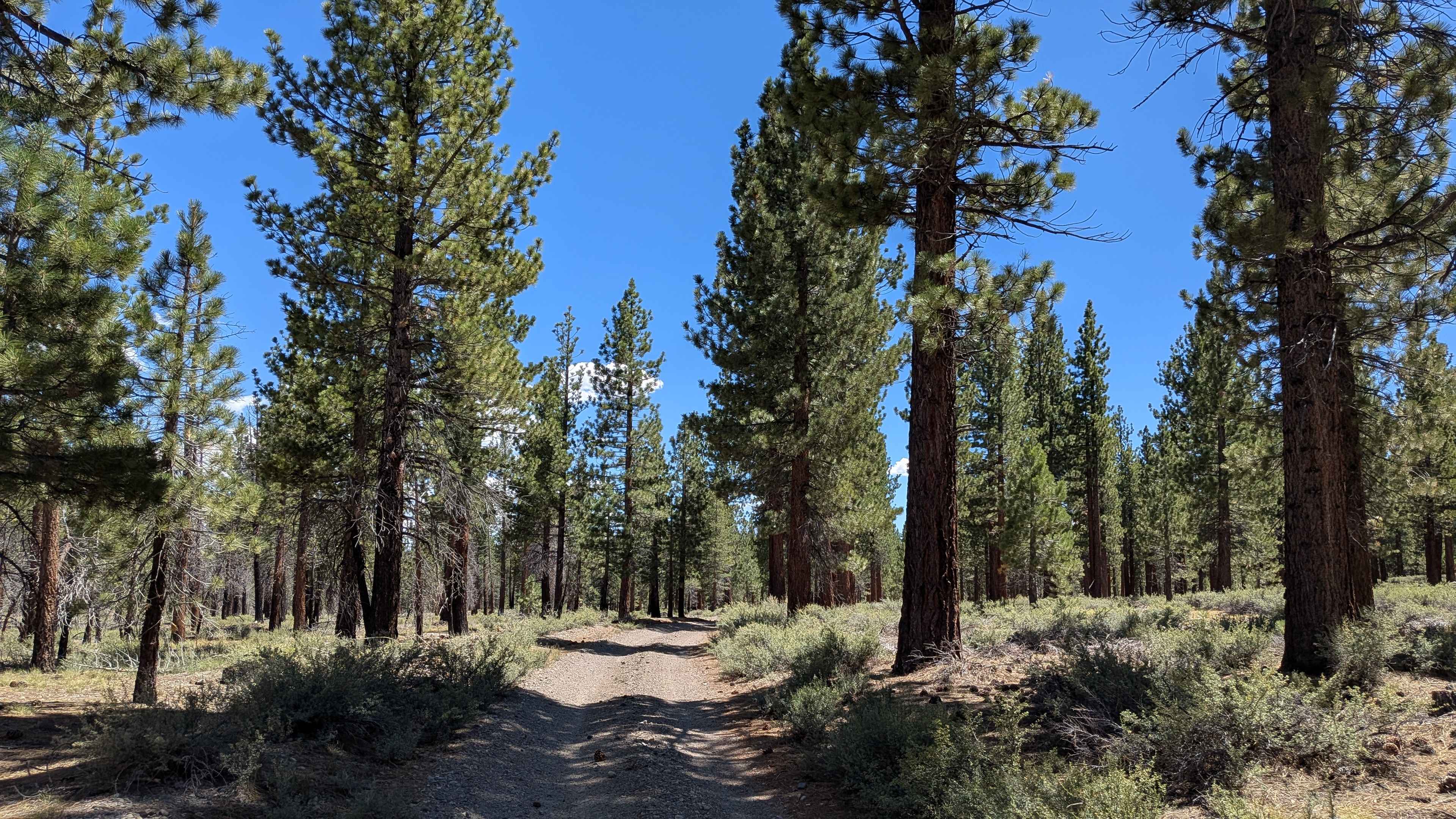 Alpers Canyon Upper FS2S42