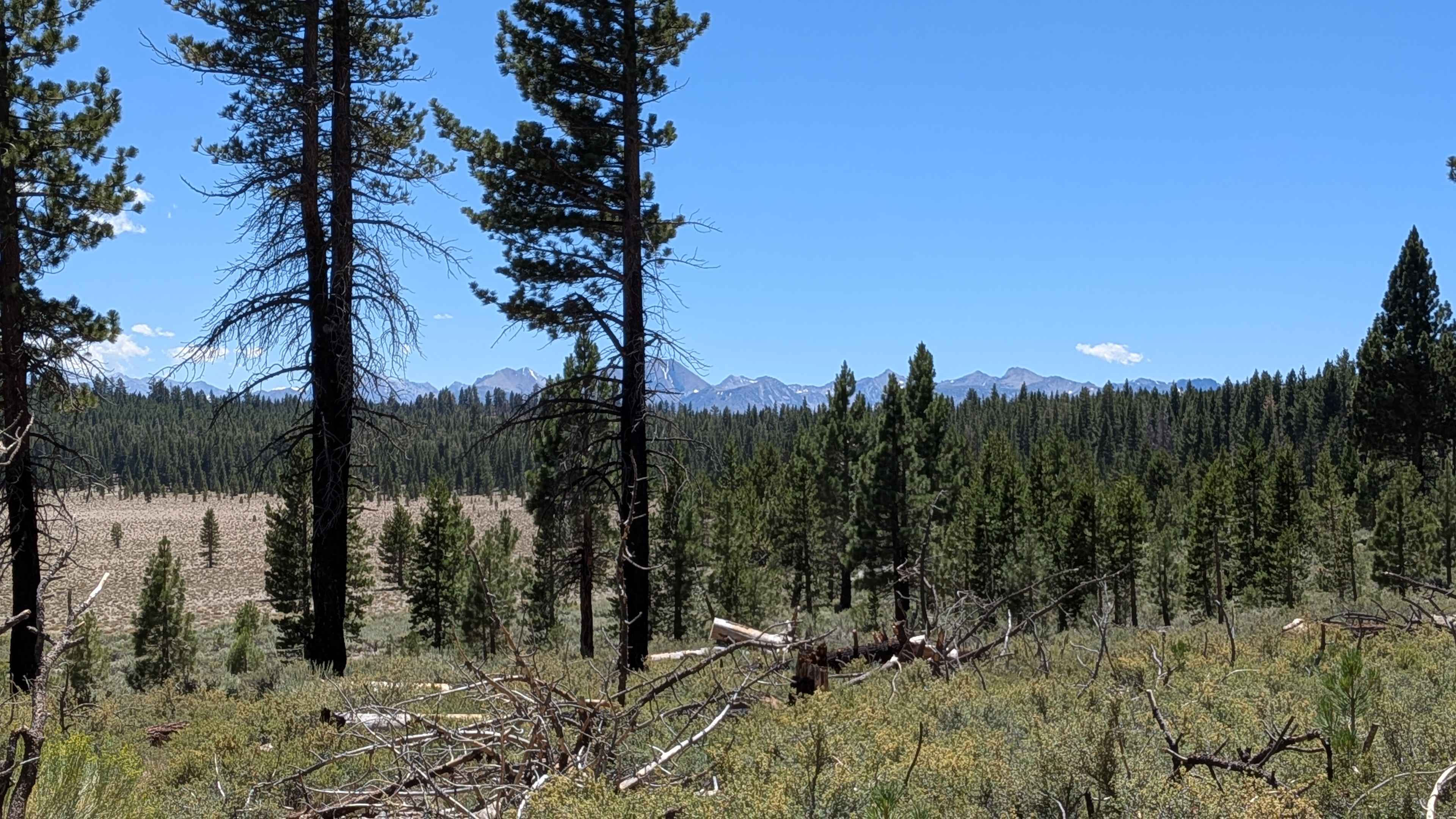 Forest Service Road 2S123